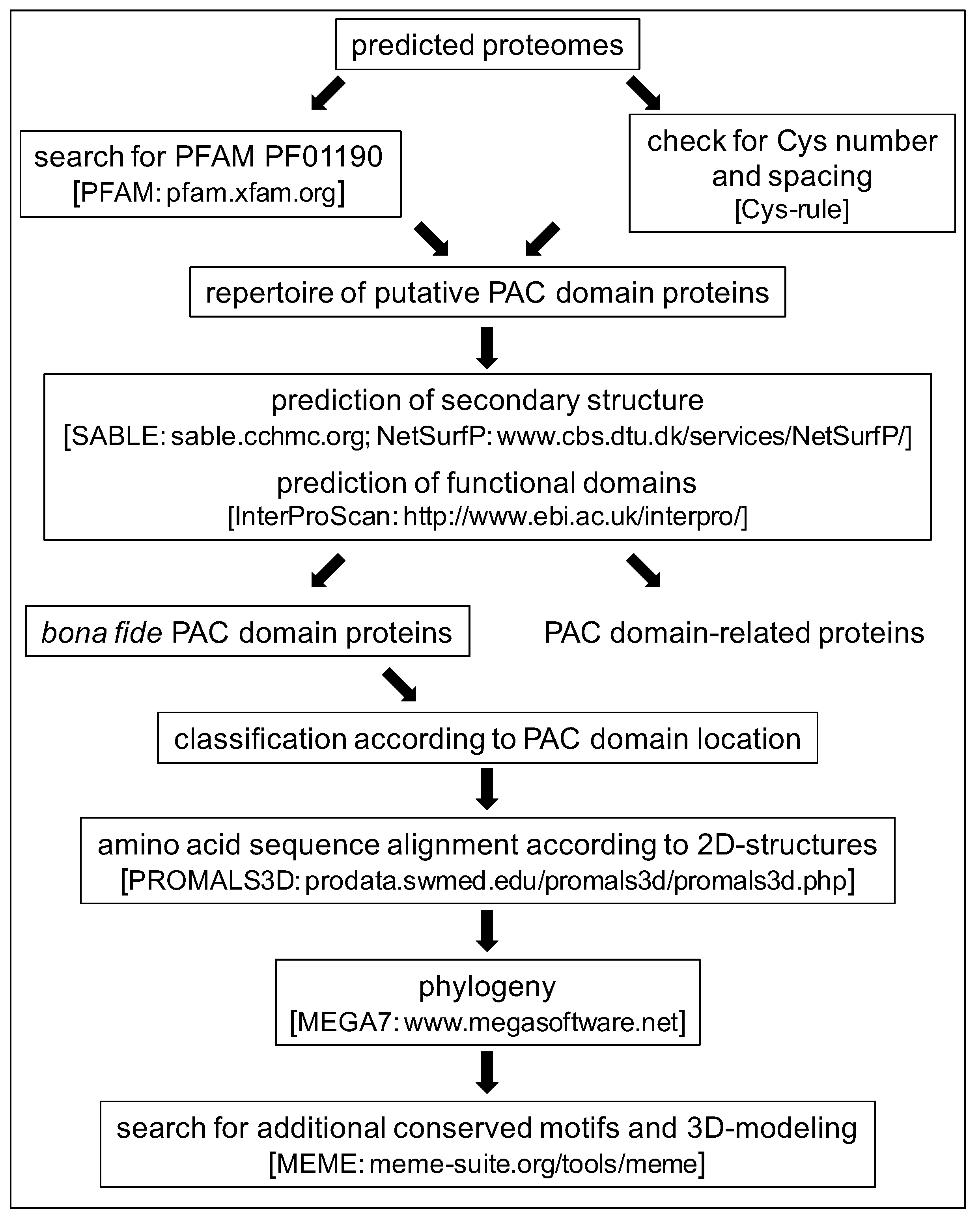 Ijms 21 02488 g001 Ijms 21 02488 g001