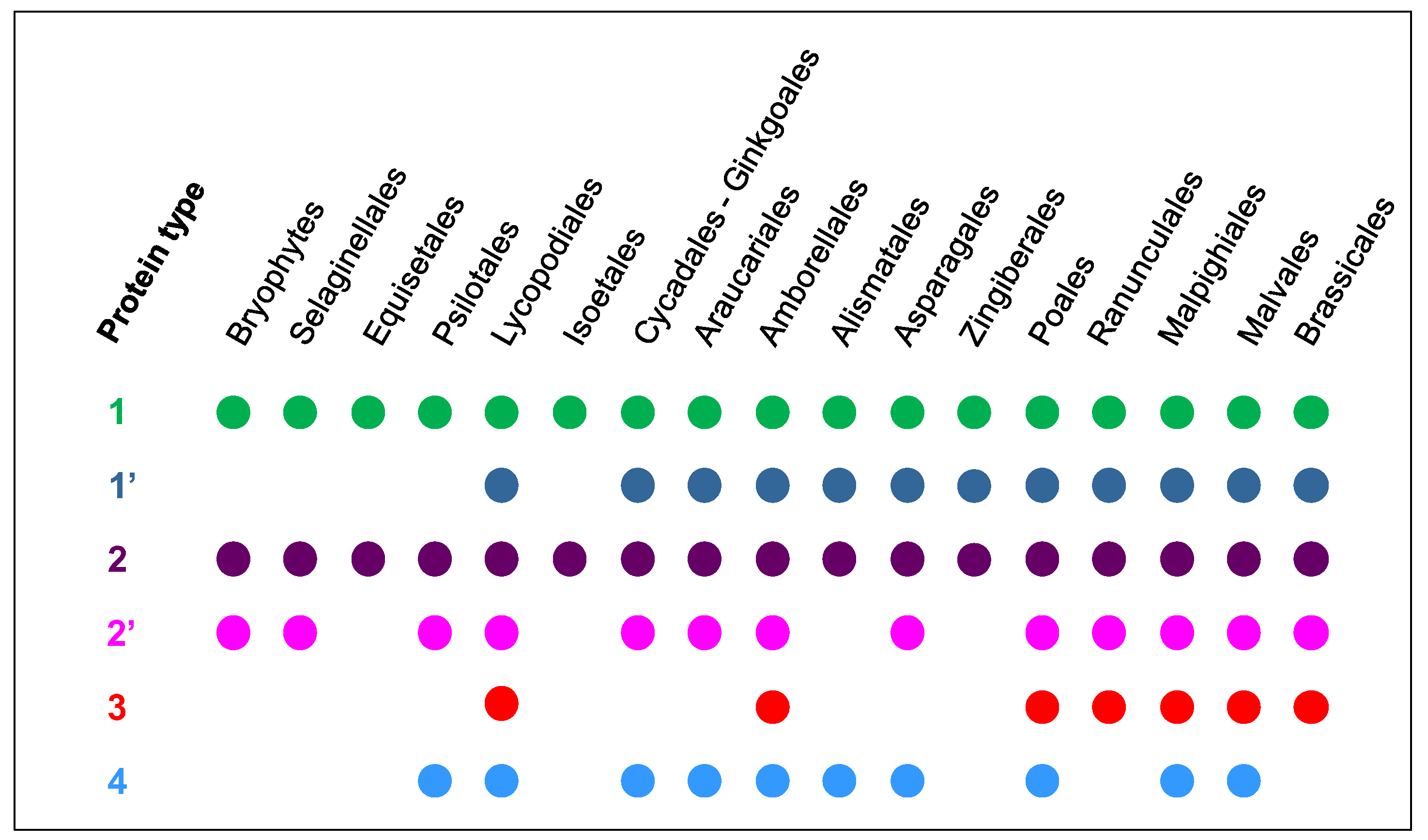 Ijms 21 02488 g004 Ijms 21 02488 g004