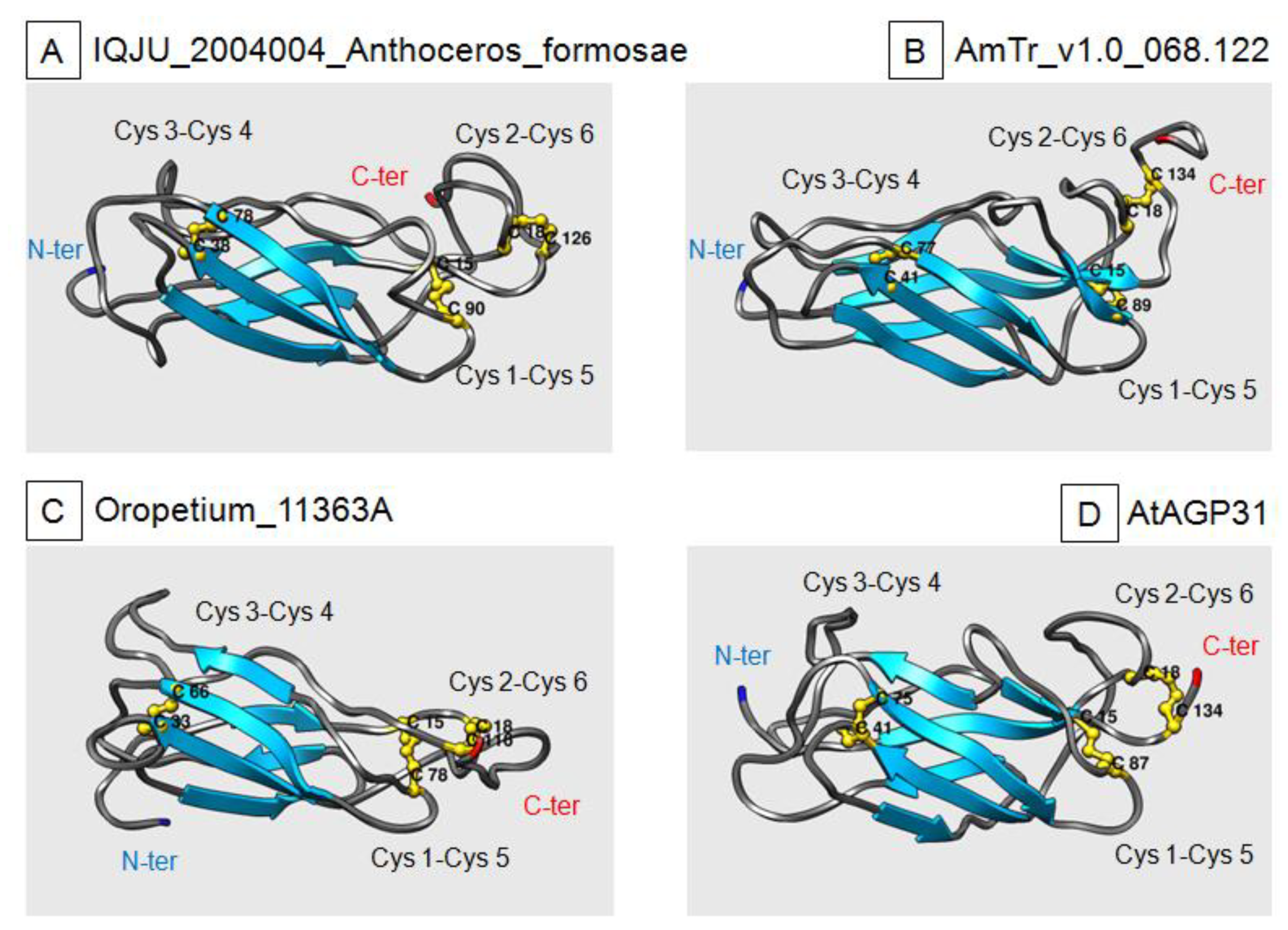 Ijms 21 02488 g005 Ijms 21 02488 g005