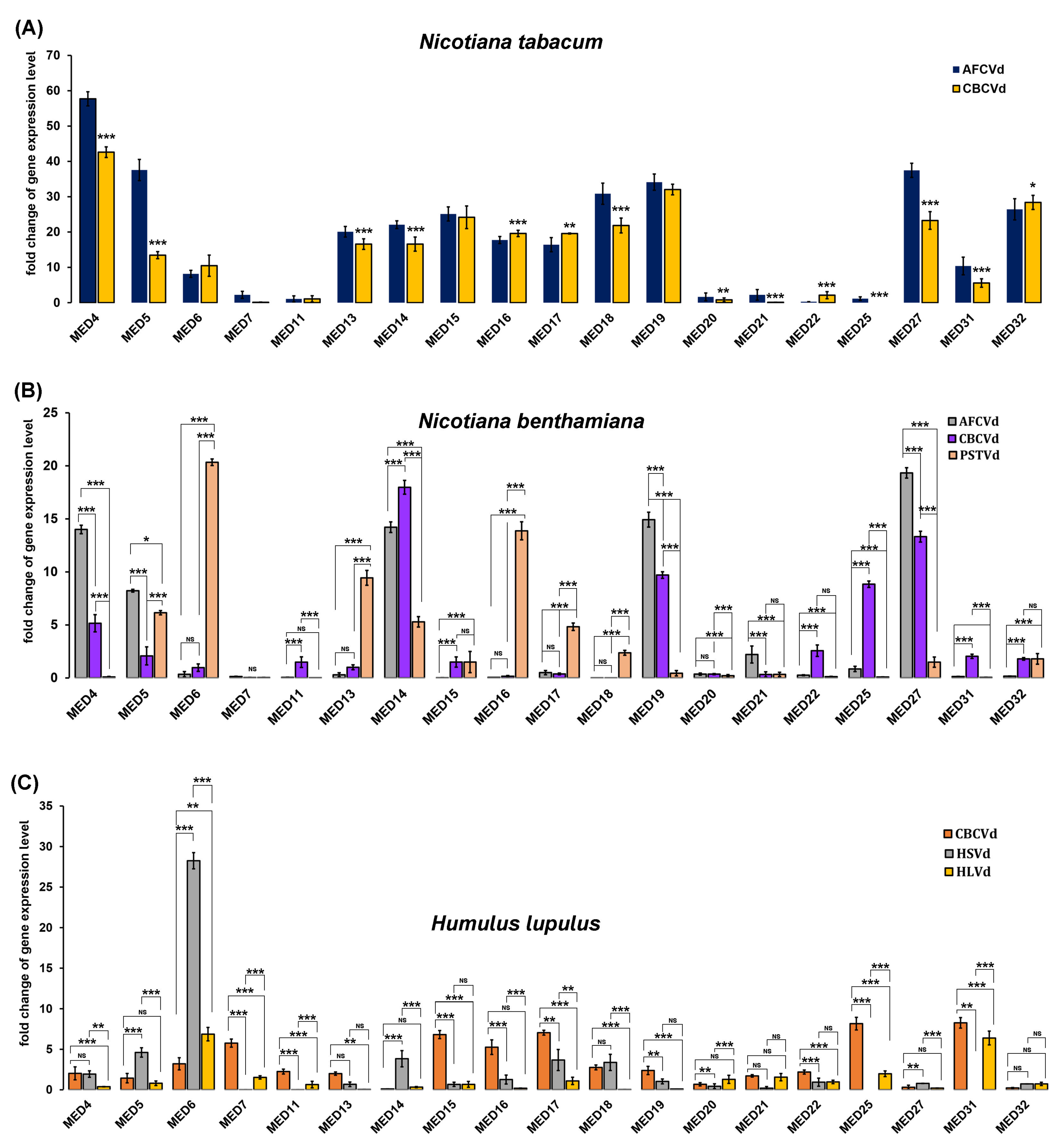 Ijms 21 02498 g002 Ijms 21 02498 g002