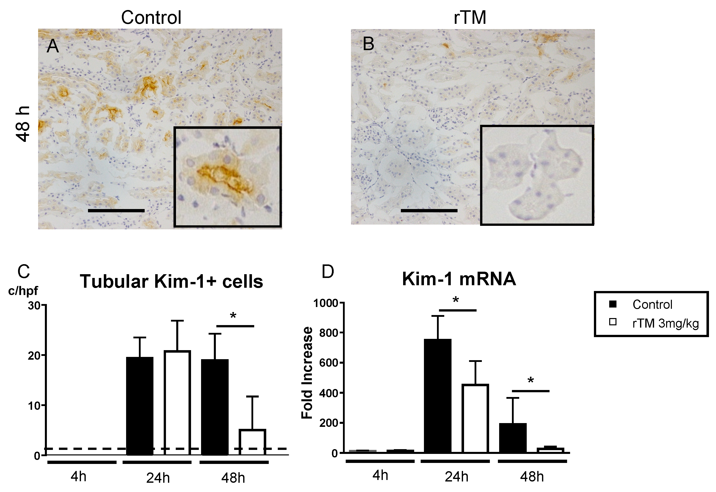 Ijms 21 02519 g005 Ijms 21 02519 g005
