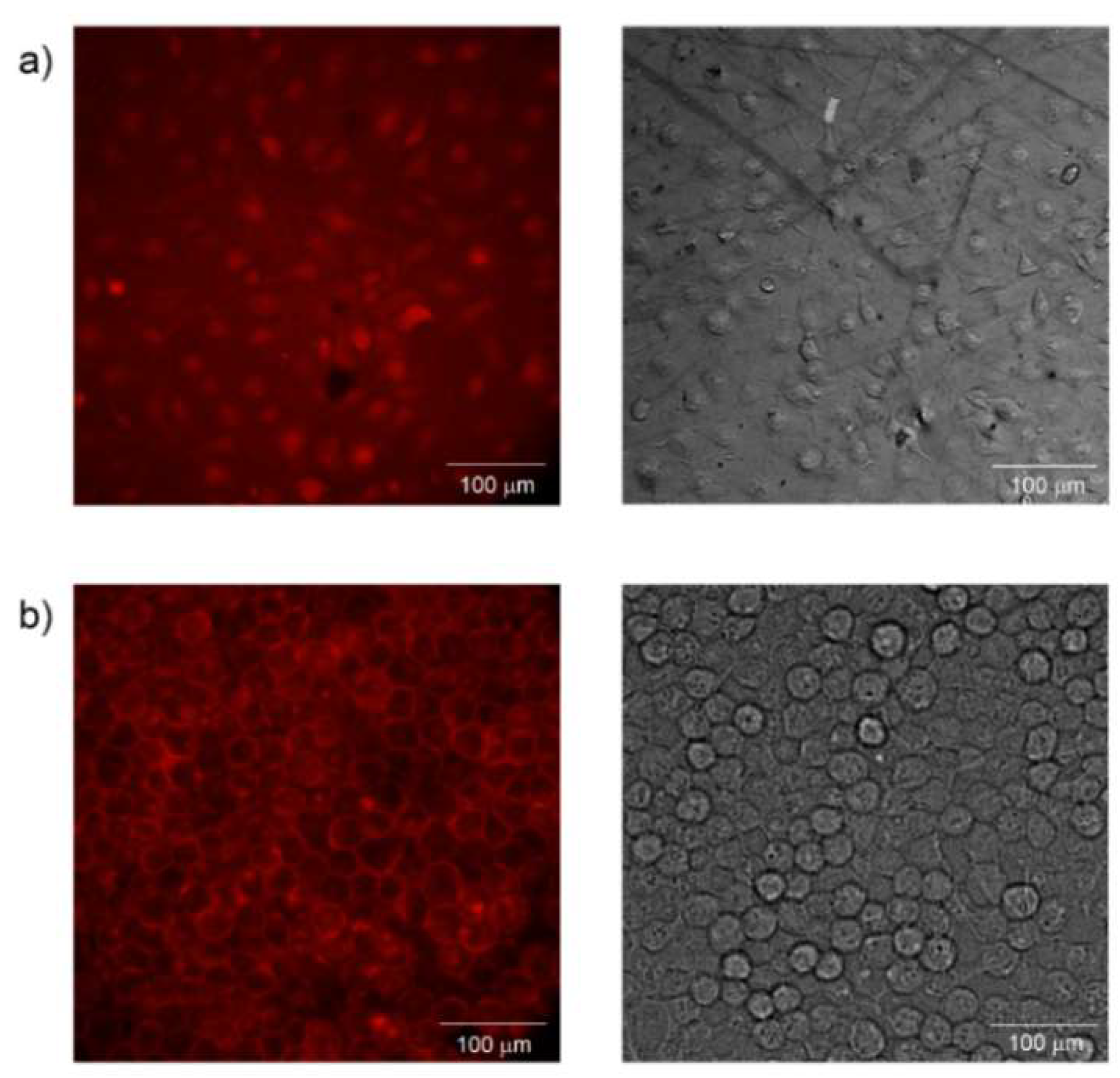 Ijms 21 02521 g003 Ijms 21 02521 g003