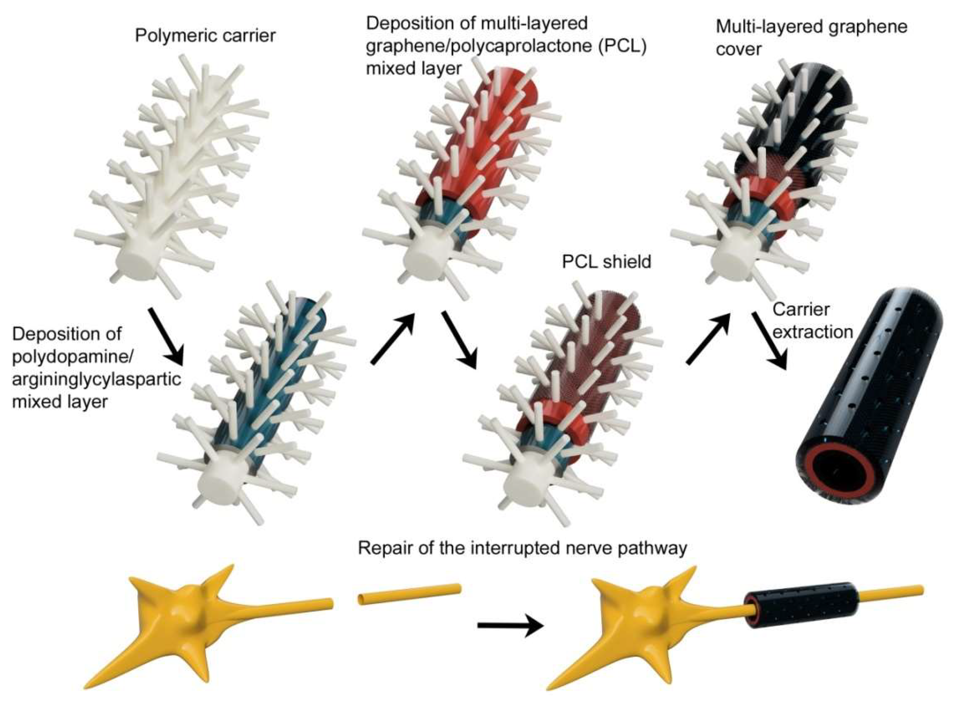 Ijms 21 02521 g006 Ijms 21 02521 g006