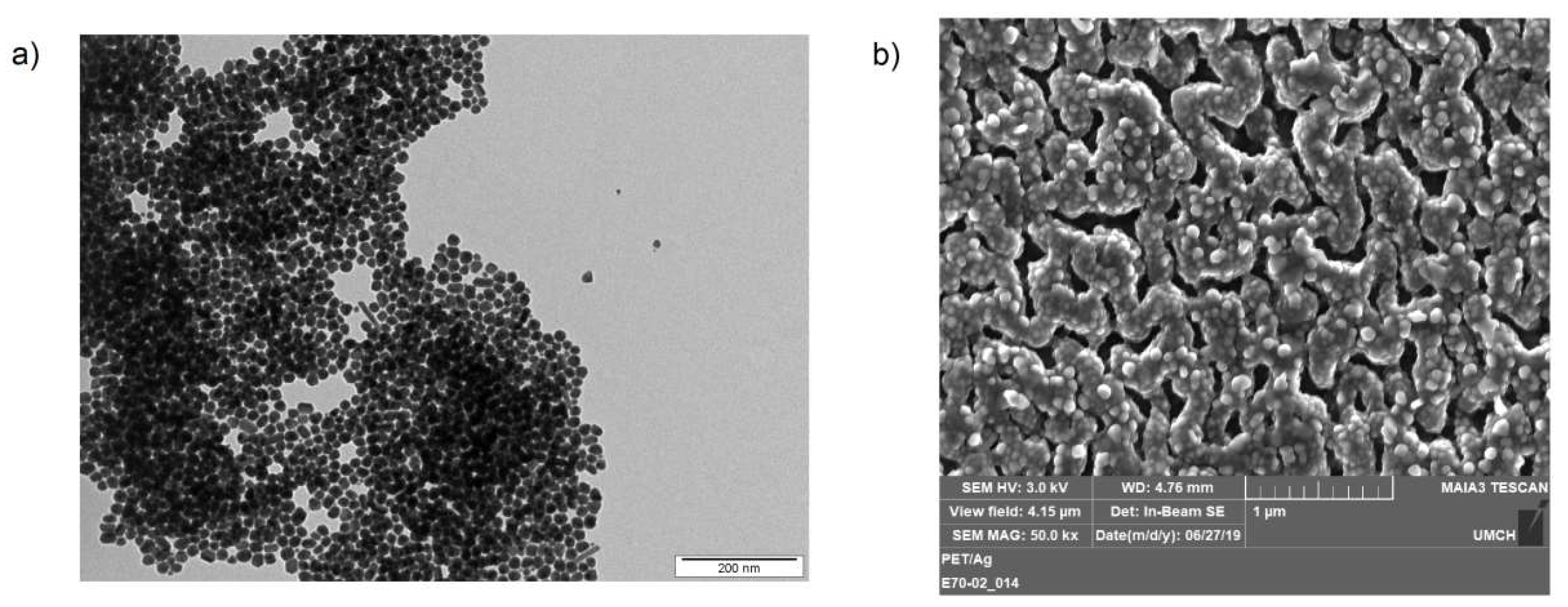 Ijms 21 02521 g008 Ijms 21 02521 g008