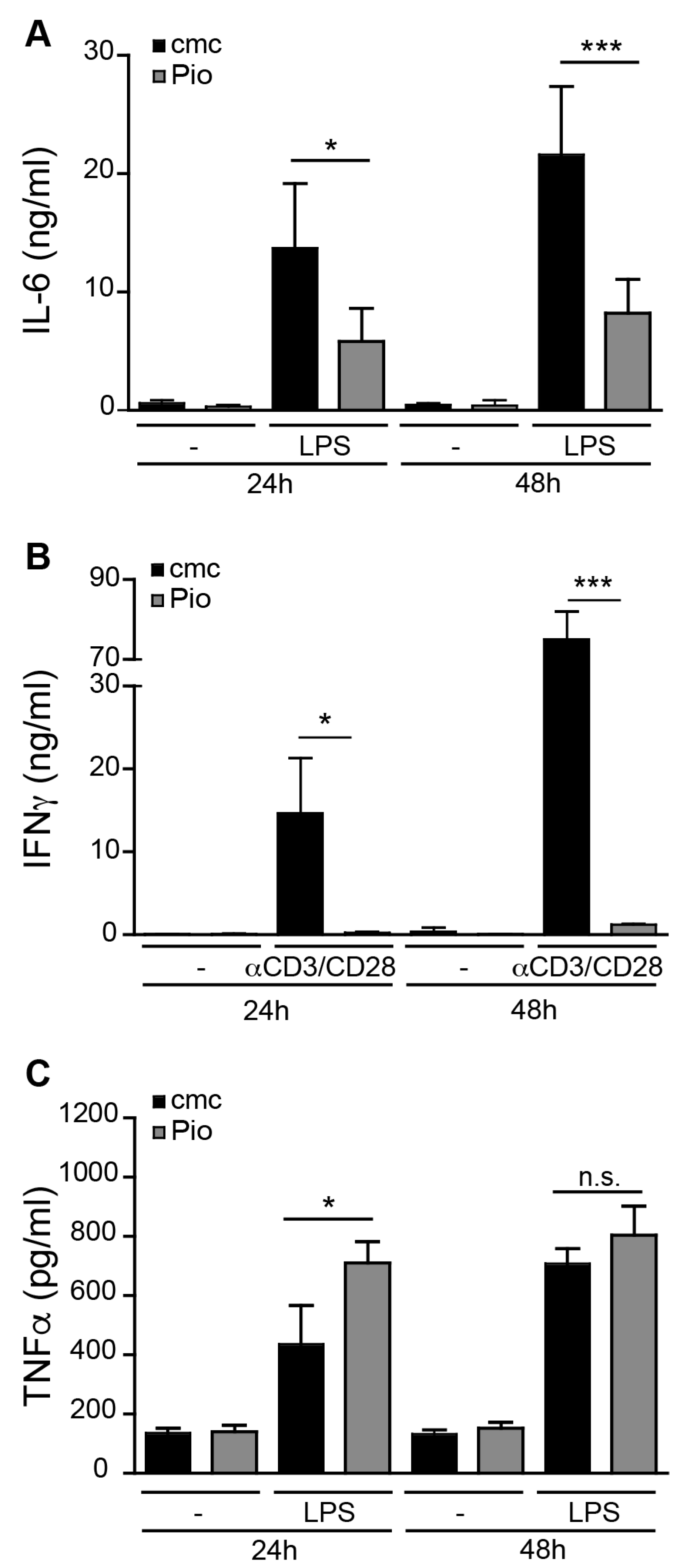 Ijms 21 02523 g001 Ijms 21 02523 g001