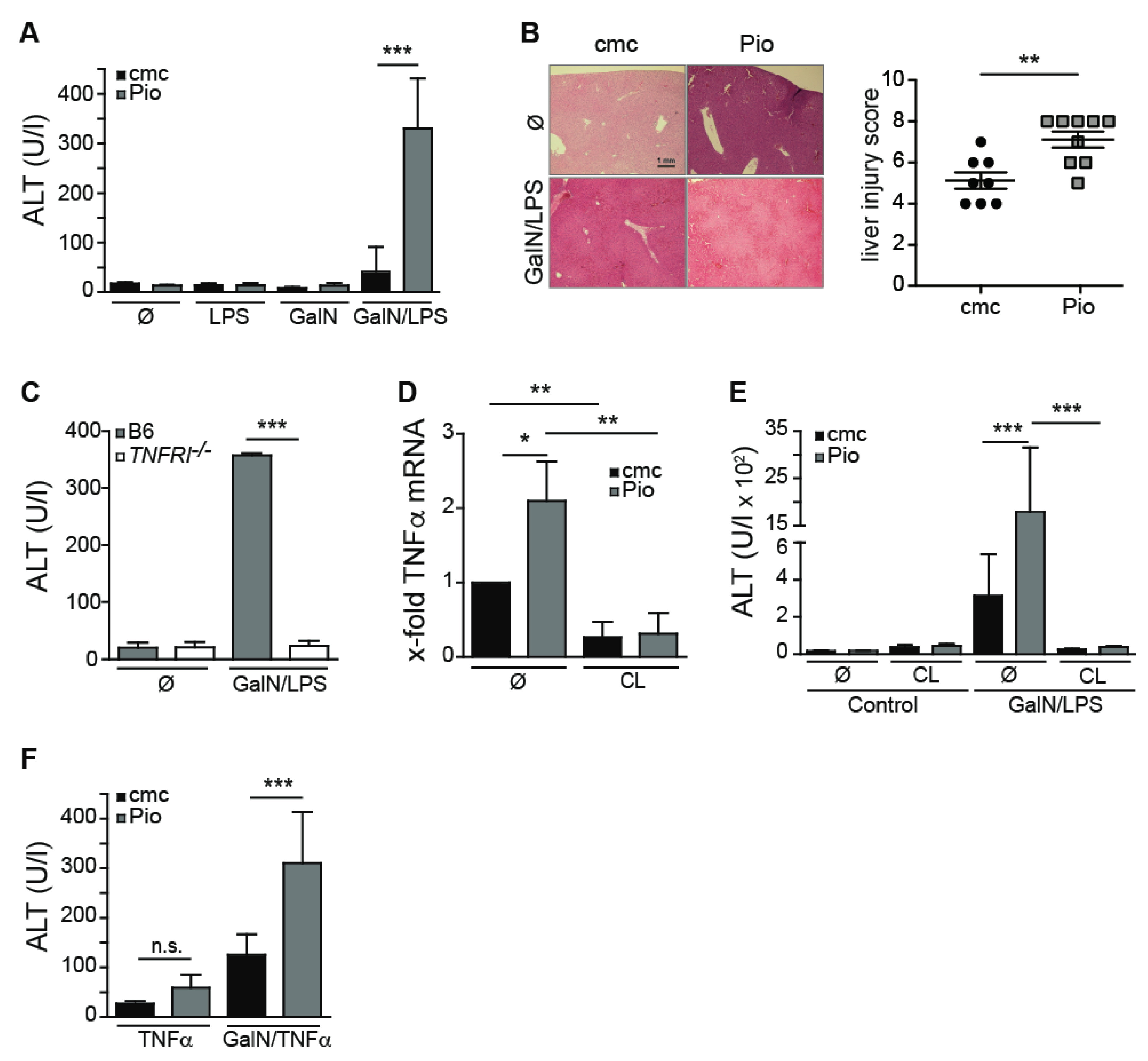 Ijms 21 02523 g003 Ijms 21 02523 g003