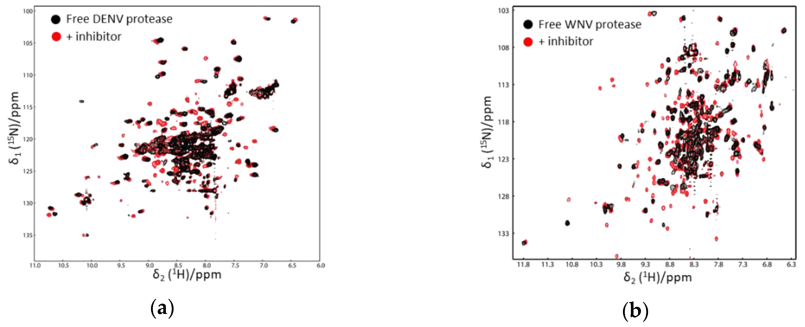 Ijms 21 02527 g003 Ijms 21 02527 g003