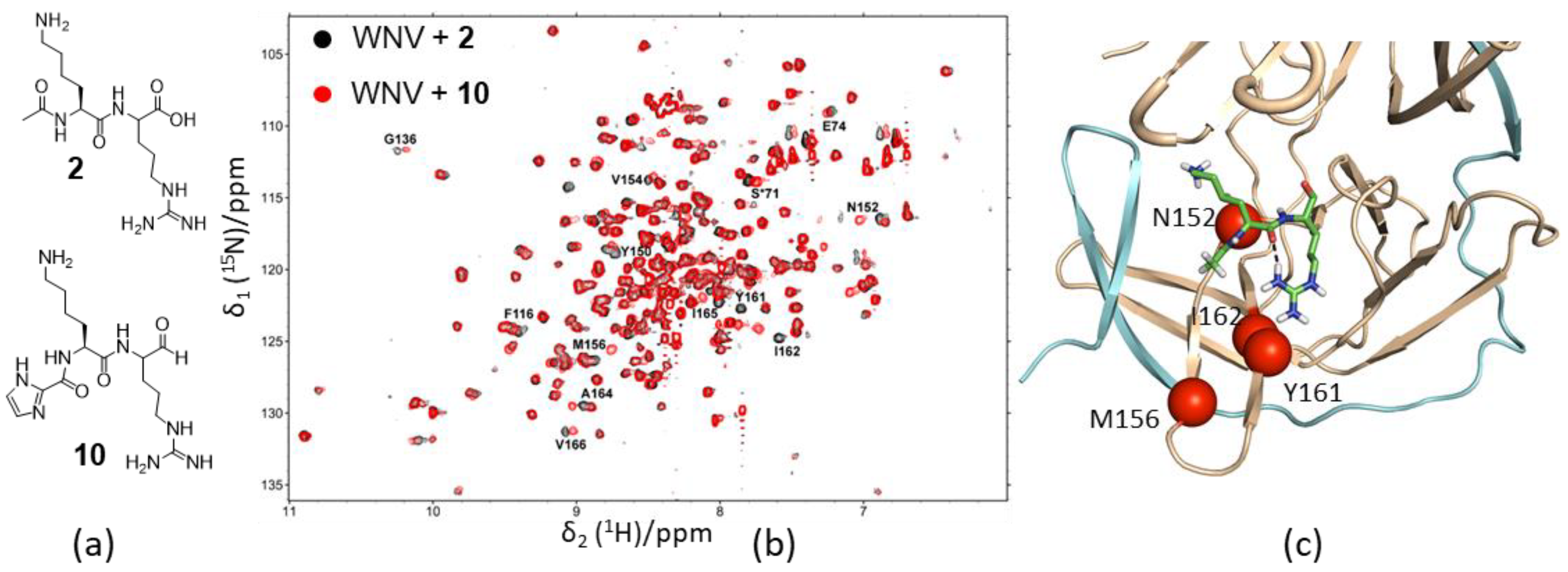 Ijms 21 02527 g005 Ijms 21 02527 g005