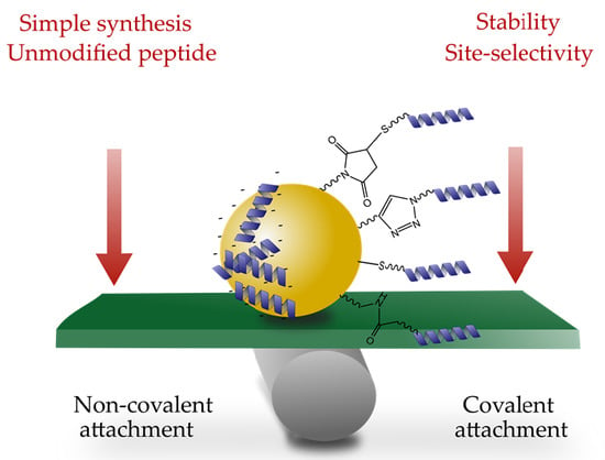 Ijms Free Full Text Nanoparticles Modified With Cell Penetrating Peptides Conjugation 4777