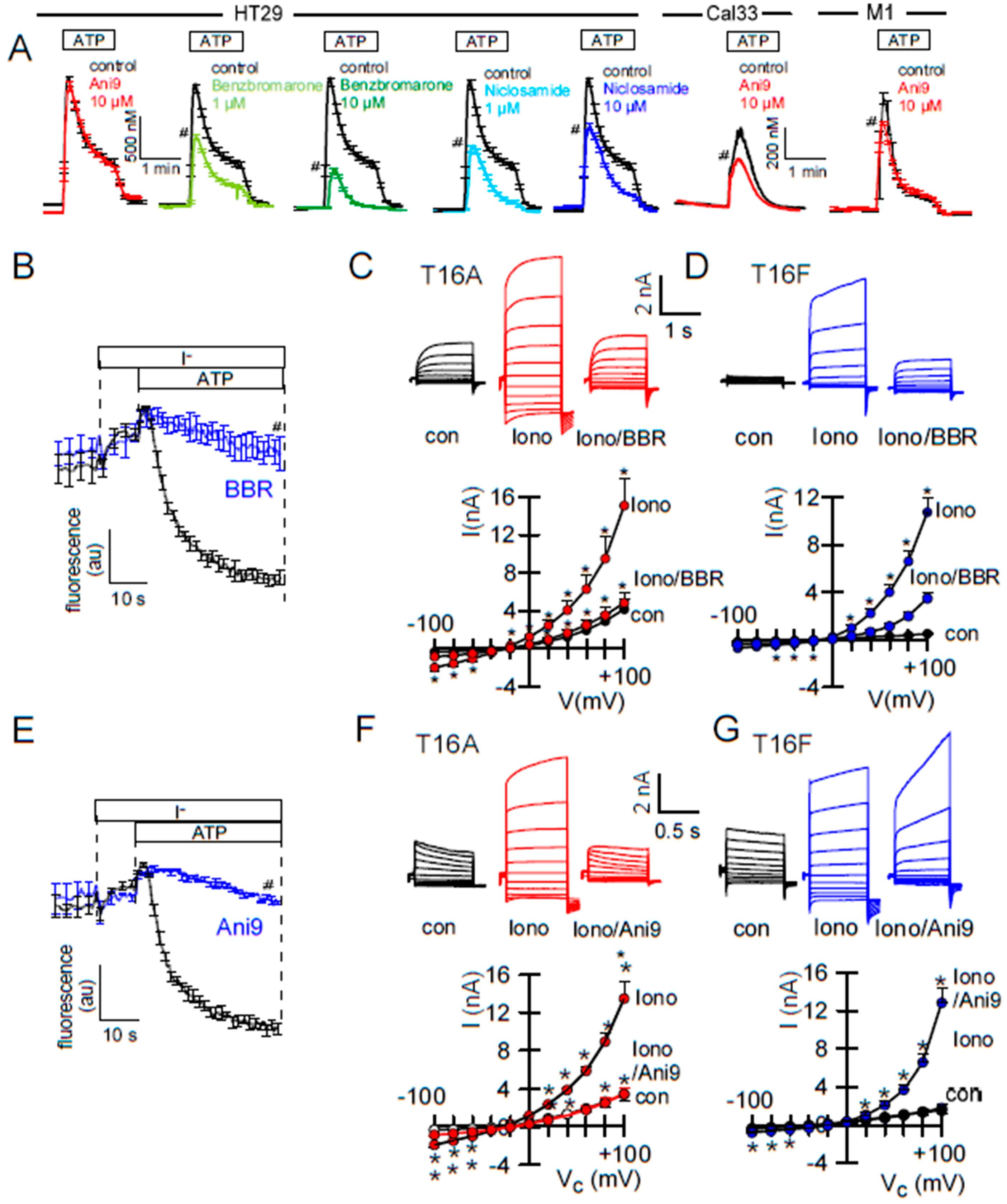 Ijms 21 02557 g003 Ijms 21 02557 g003