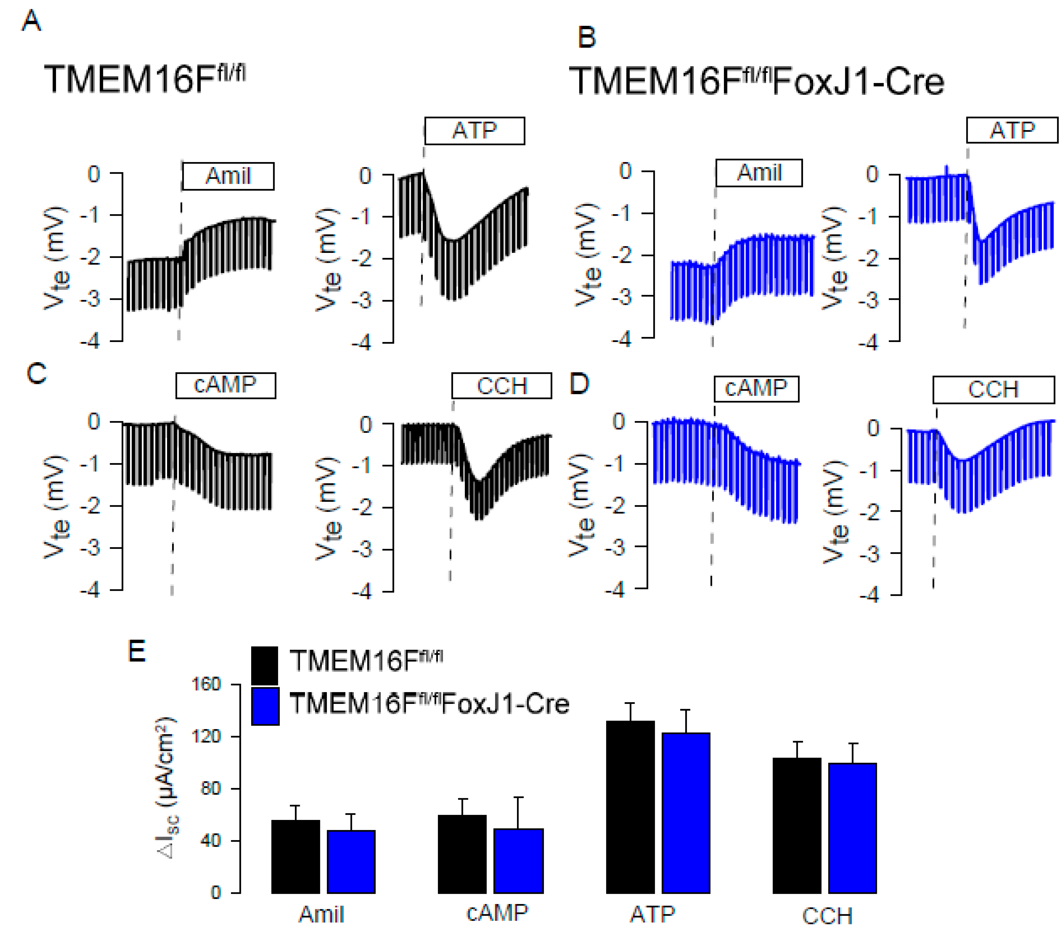 Ijms 21 02557 g008 Ijms 21 02557 g008