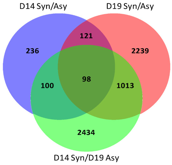 IJMS | Free Full-Text | Asynchronous Embryo Transfer Followed by ...