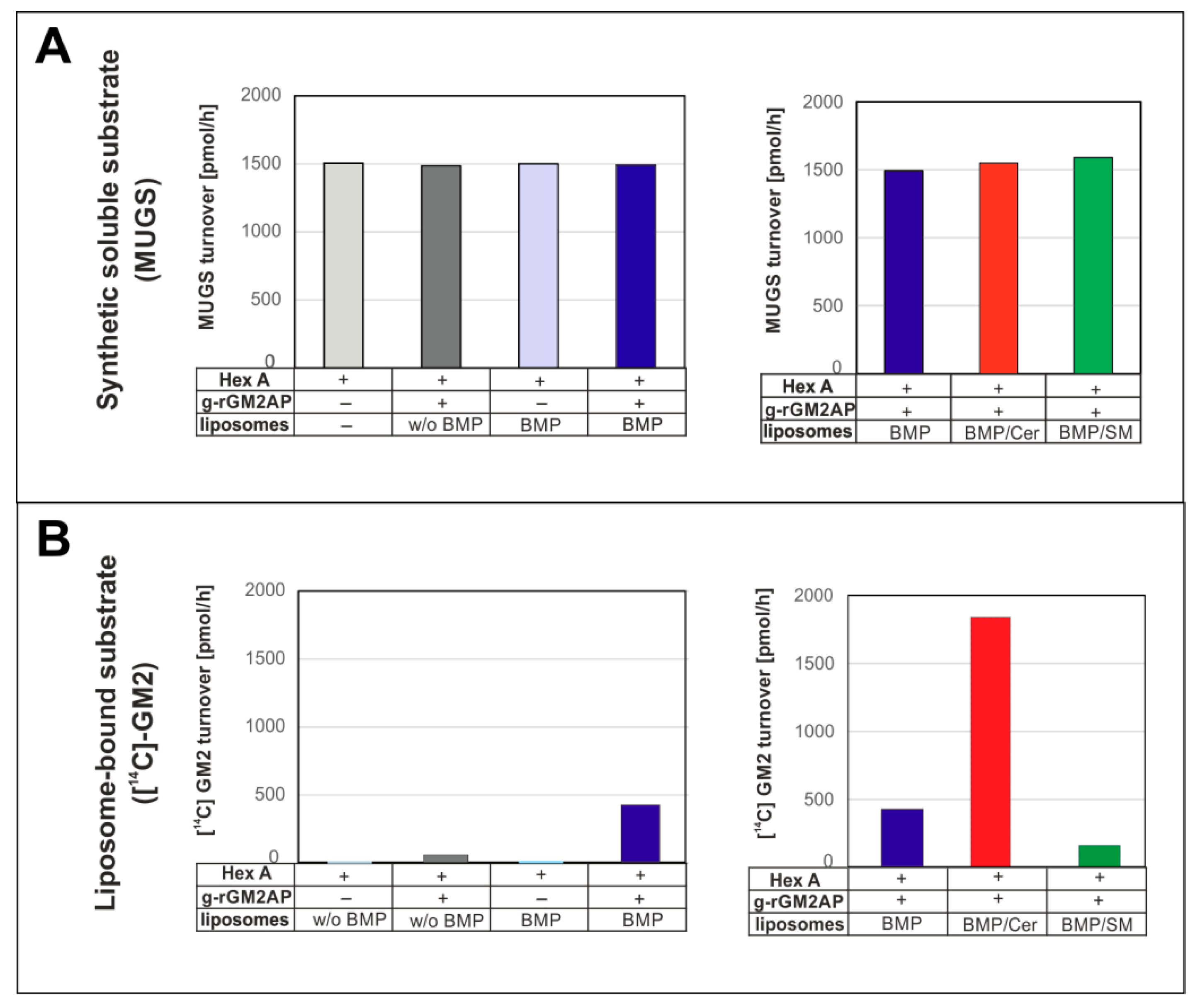 Ijms 21 02566 g003 Ijms 21 02566 g003