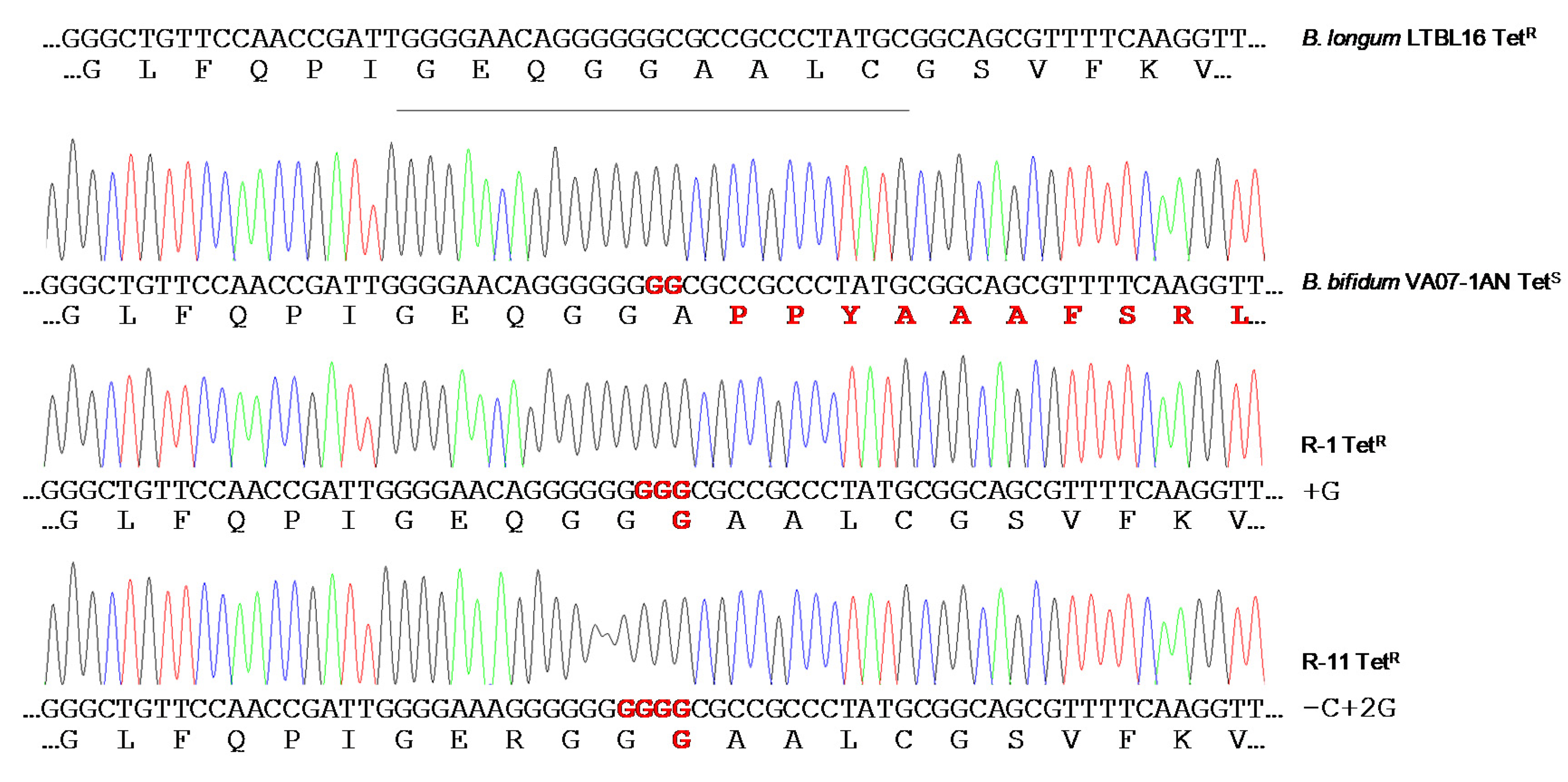 Ijms Free Full Text Antibiotic Susceptibility Profiles Of Lactic Acid Bacteria From The Human Vagina And Genetic Basis Of Acquired Resistances Html