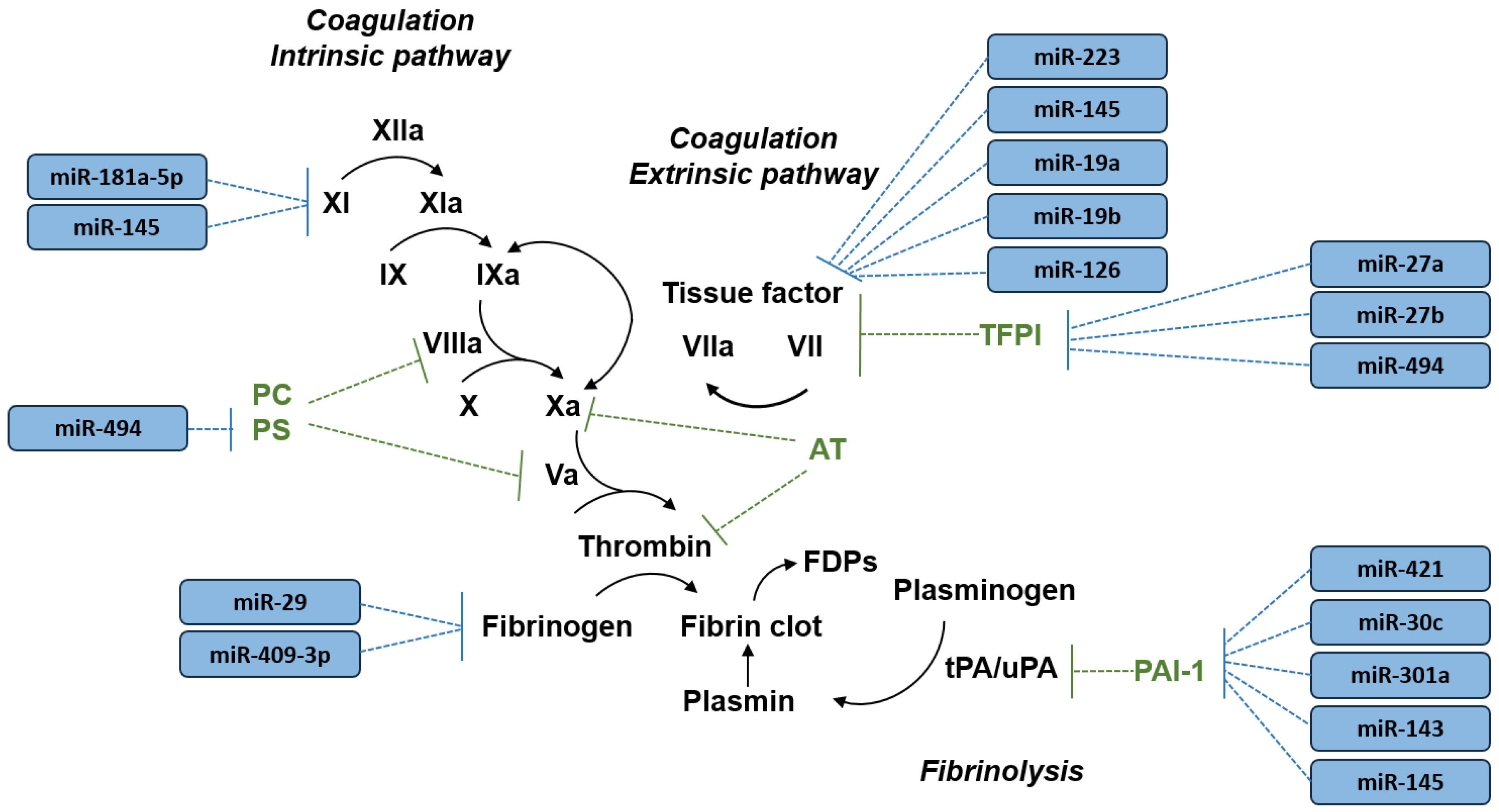 Ijms 21 02602 g001 Ijms 21 02602 g001