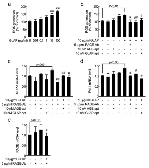 Ijms Free Full Text Glyceraldehyde Derived Pyridinium Evokes Renal