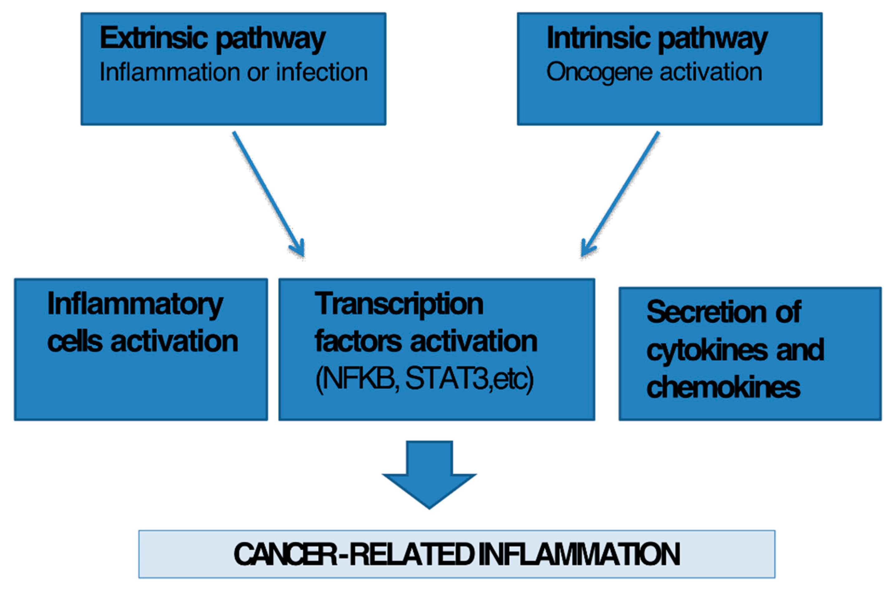 Ijms 21 02605 g002 Ijms 21 02605 g002