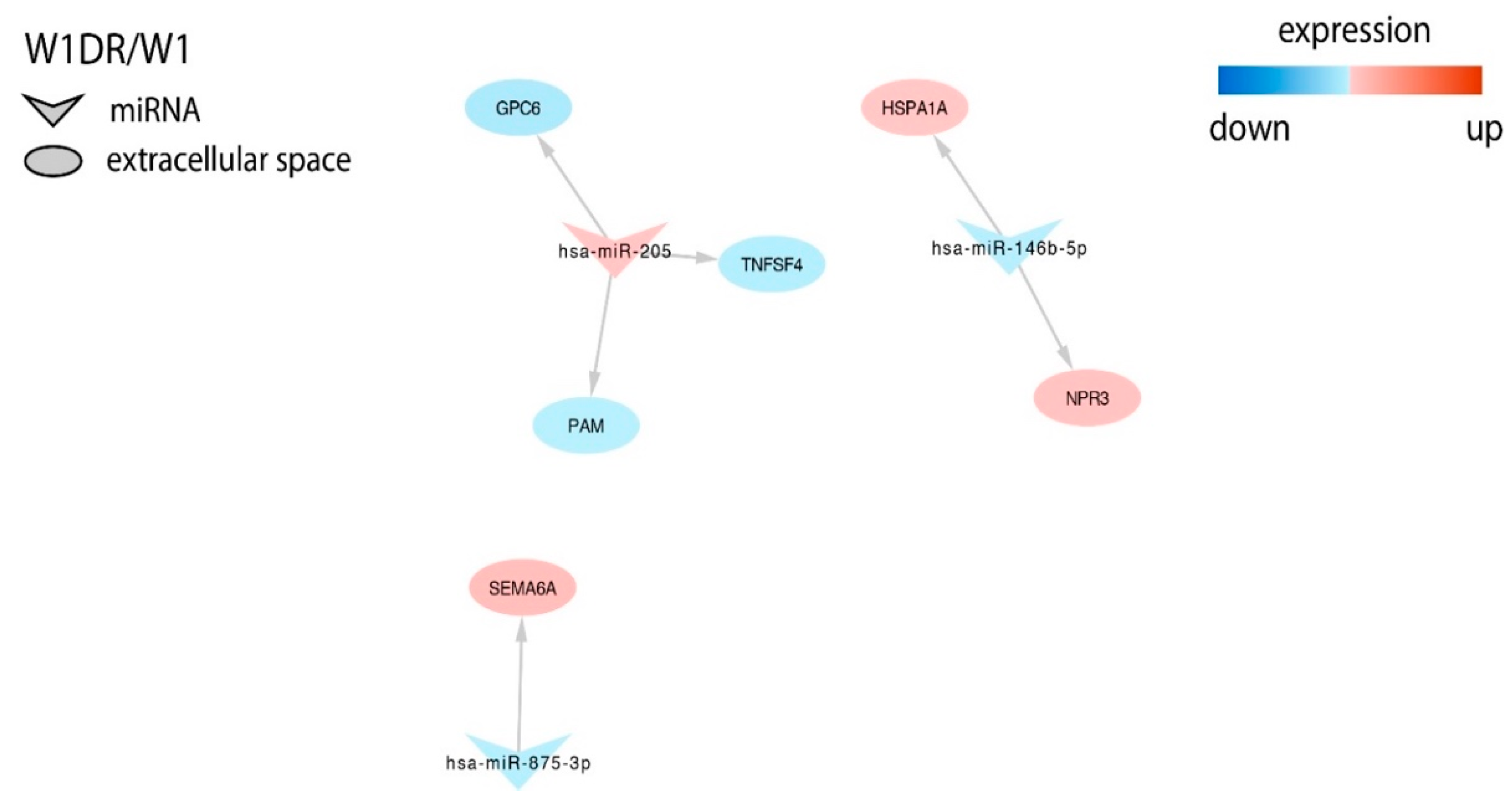 Ijms 21 02619 g004 Ijms 21 02619 g004