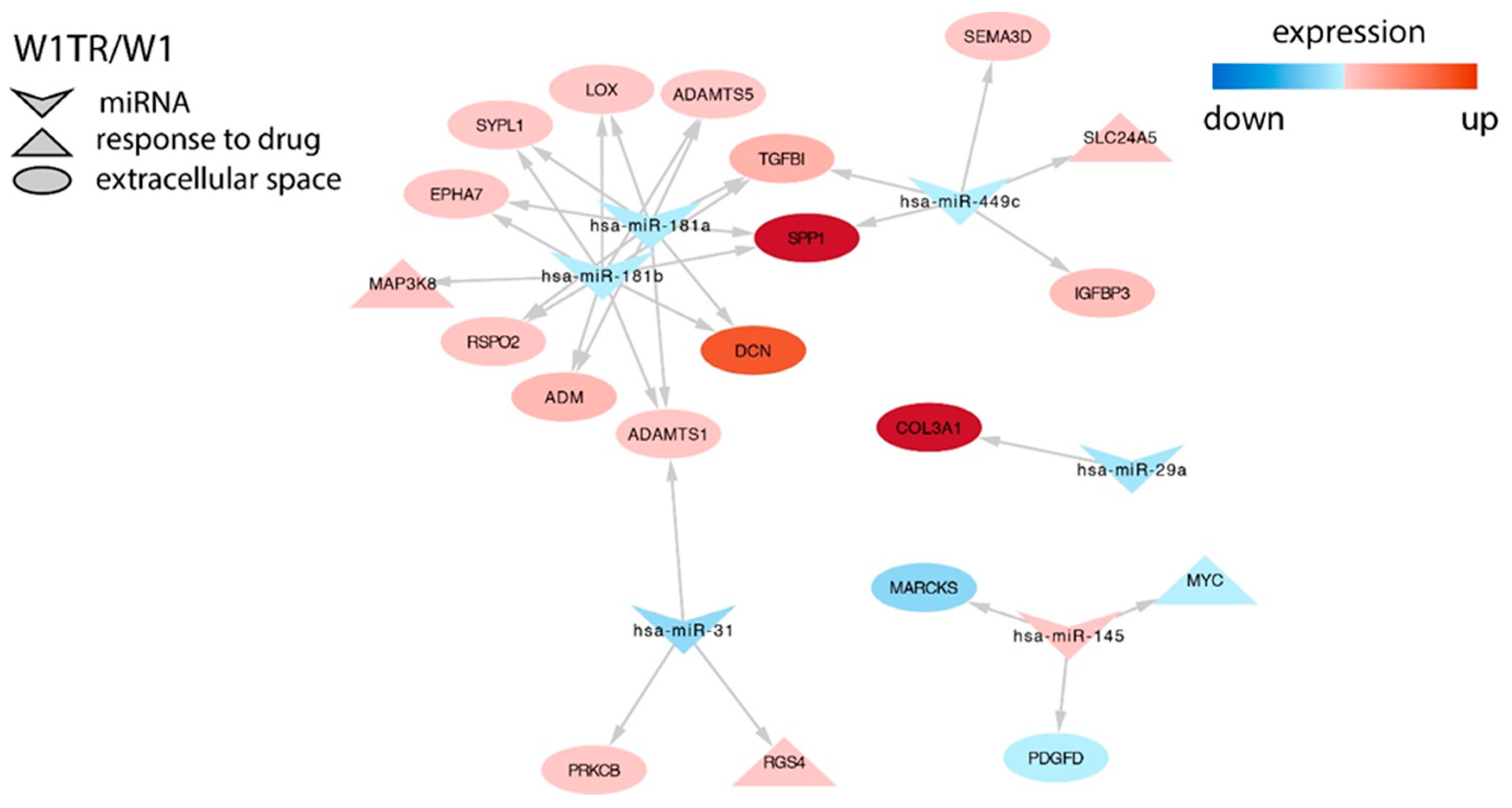 Ijms 21 02619 g006 Ijms 21 02619 g006