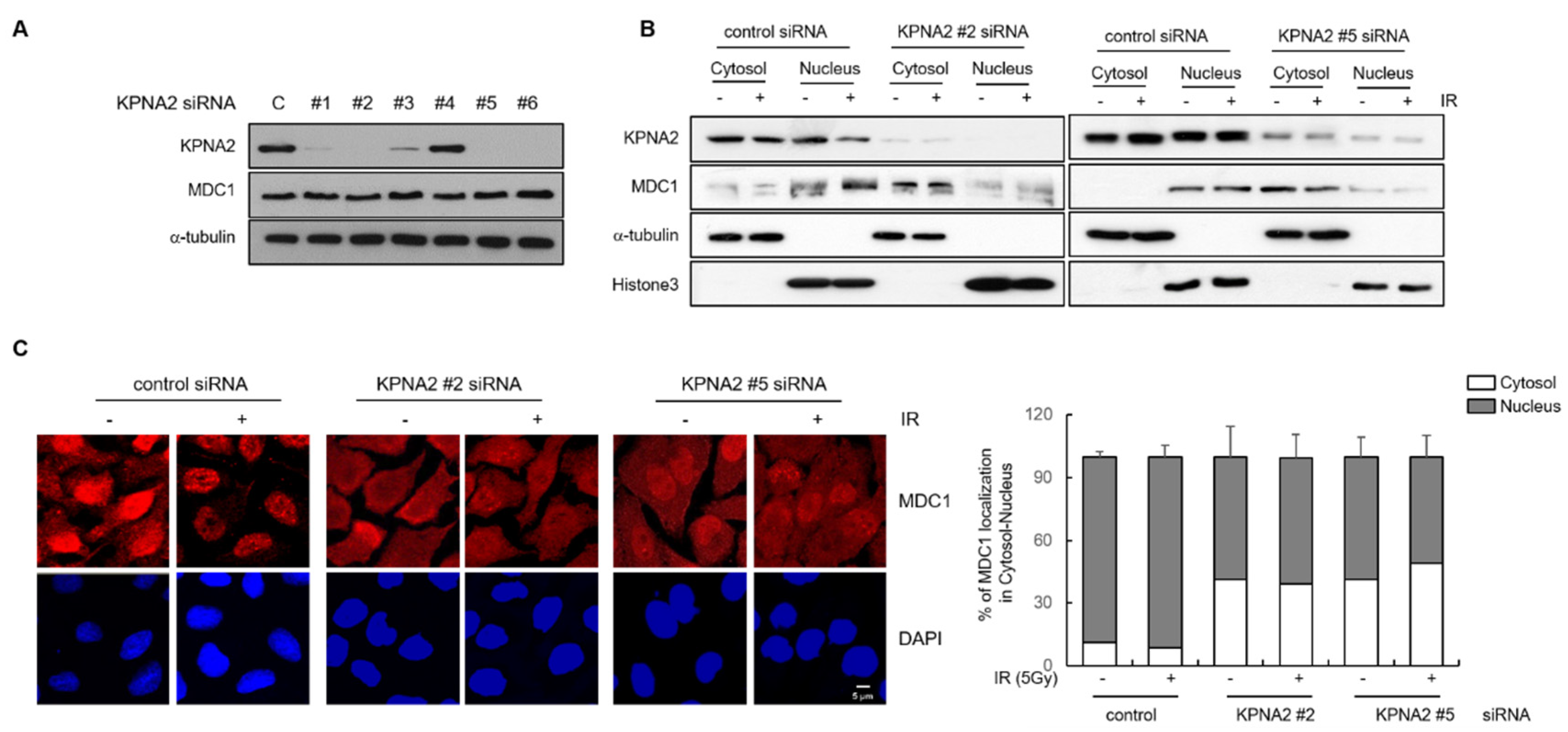 Ijms 21 02650 g002 Ijms 21 02650 g002