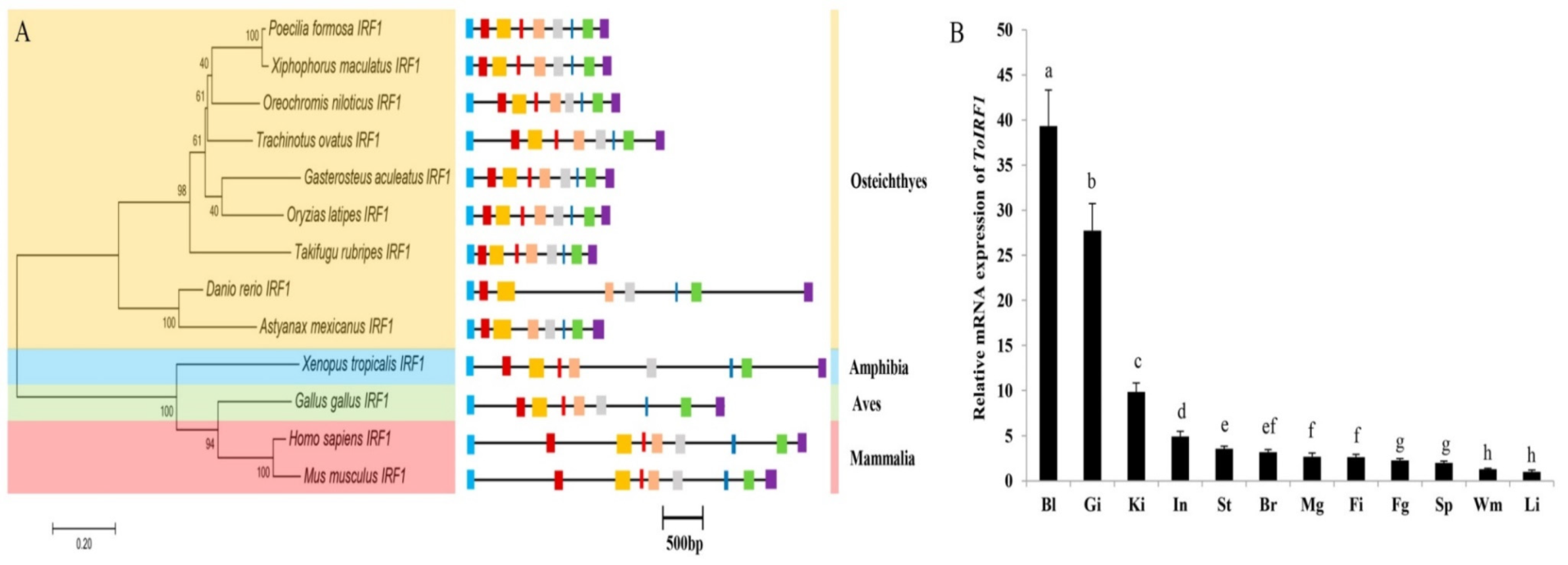 Ijms 21 02652 g002 Ijms 21 02652 g002