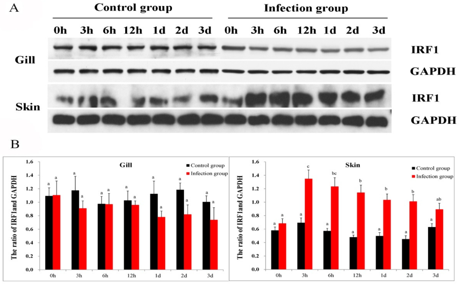 Ijms 21 02652 g003 Ijms 21 02652 g003