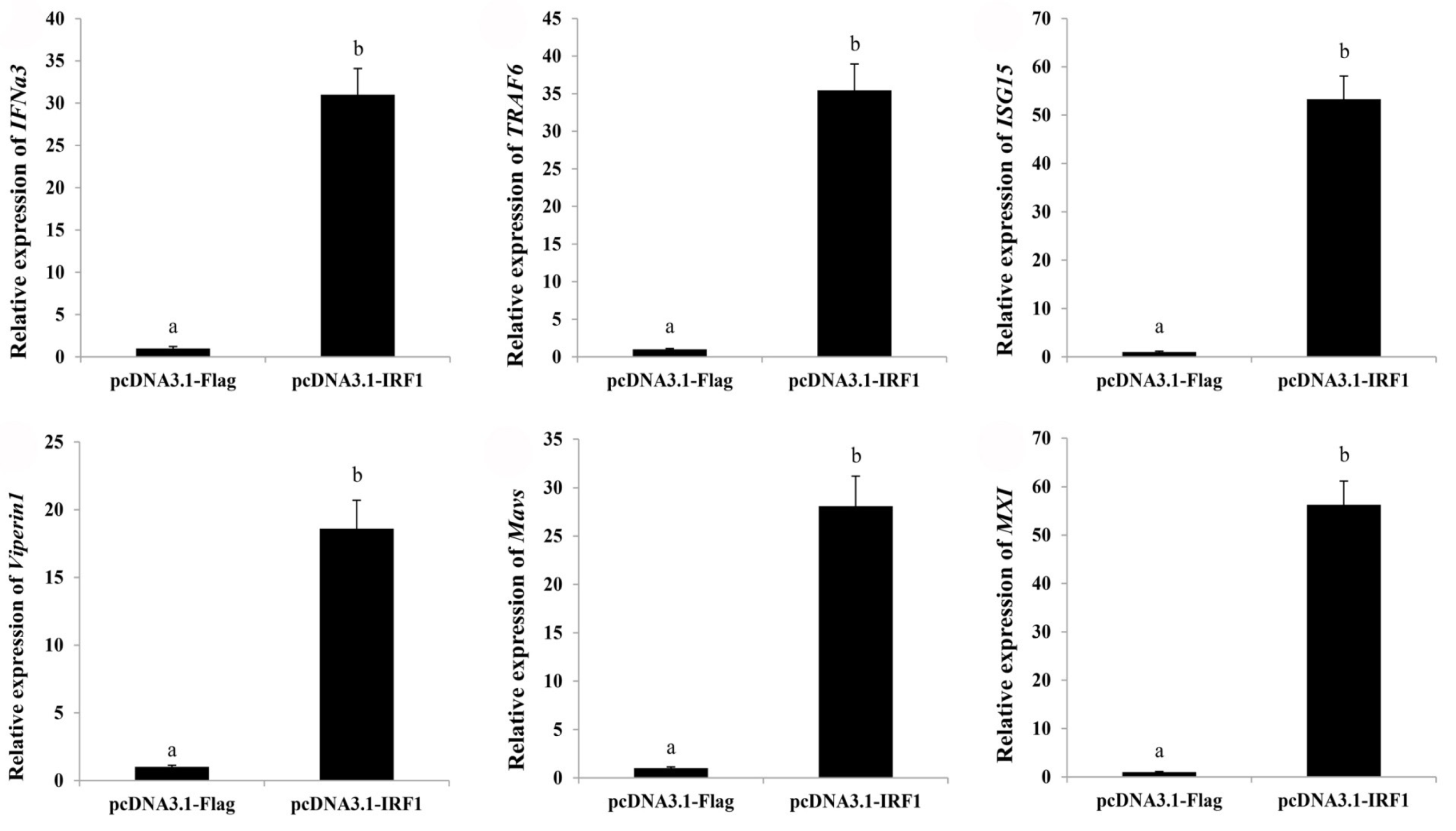 Ijms 21 02652 g006 Ijms 21 02652 g006