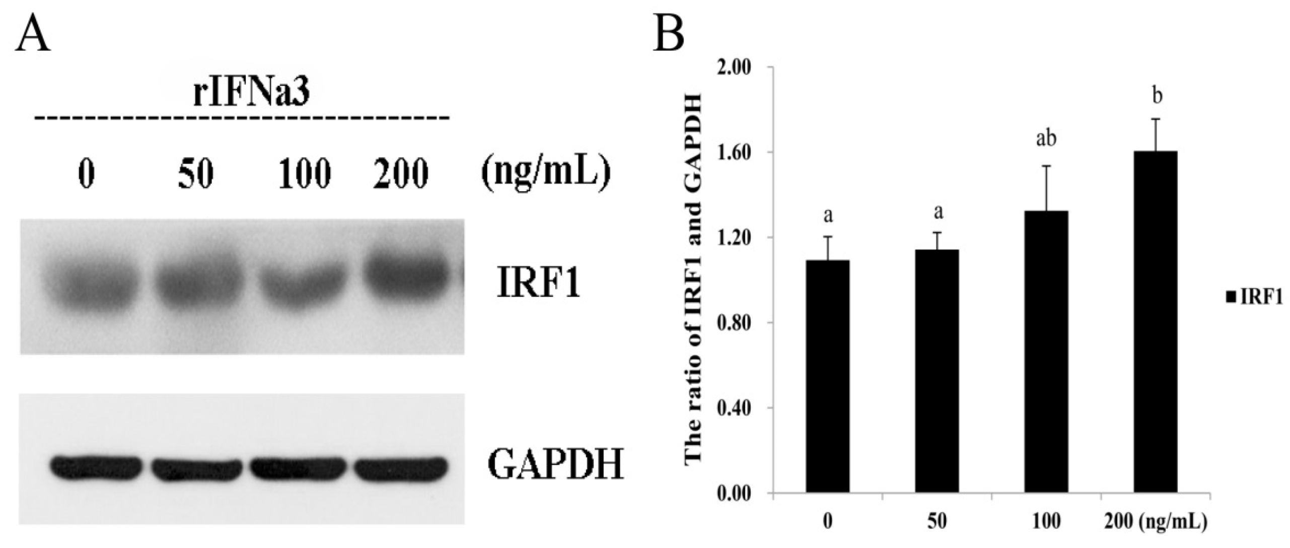Ijms 21 02652 g007 Ijms 21 02652 g007