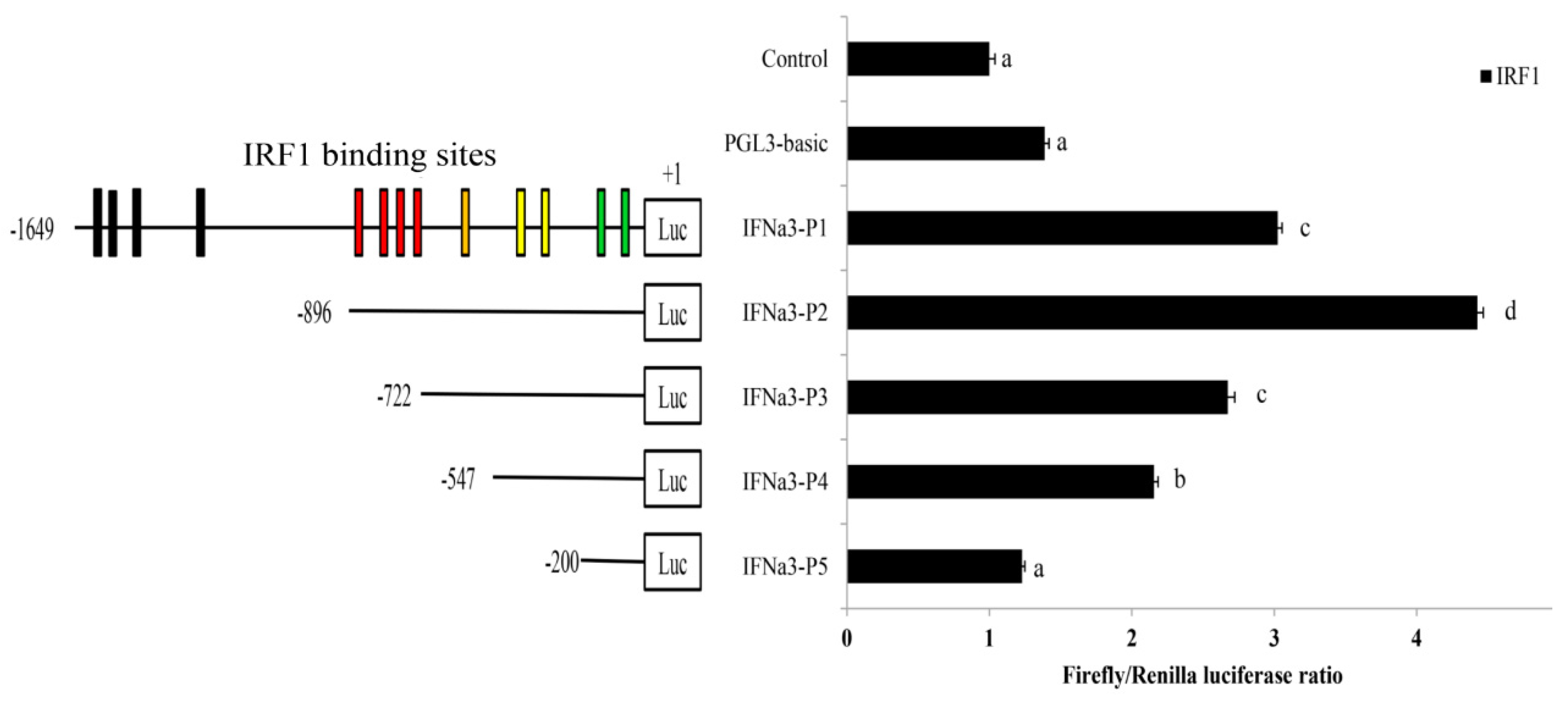Ijms 21 02652 g008 Ijms 21 02652 g008