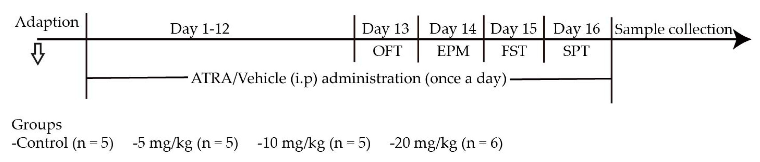 Ijms 21 02677 g006 Ijms 21 02677 g006