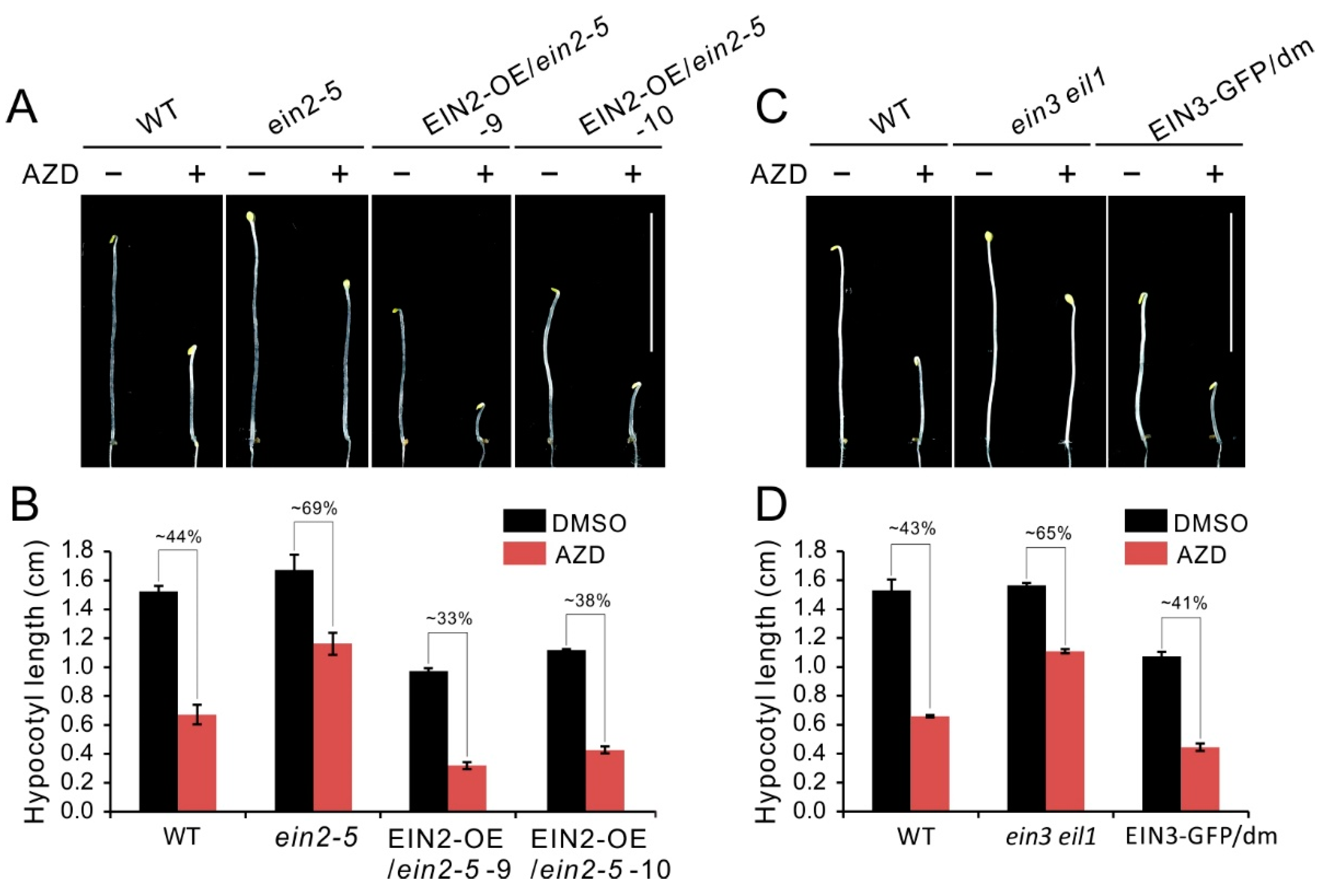 Ijms 21 02680 g003 Ijms 21 02680 g003