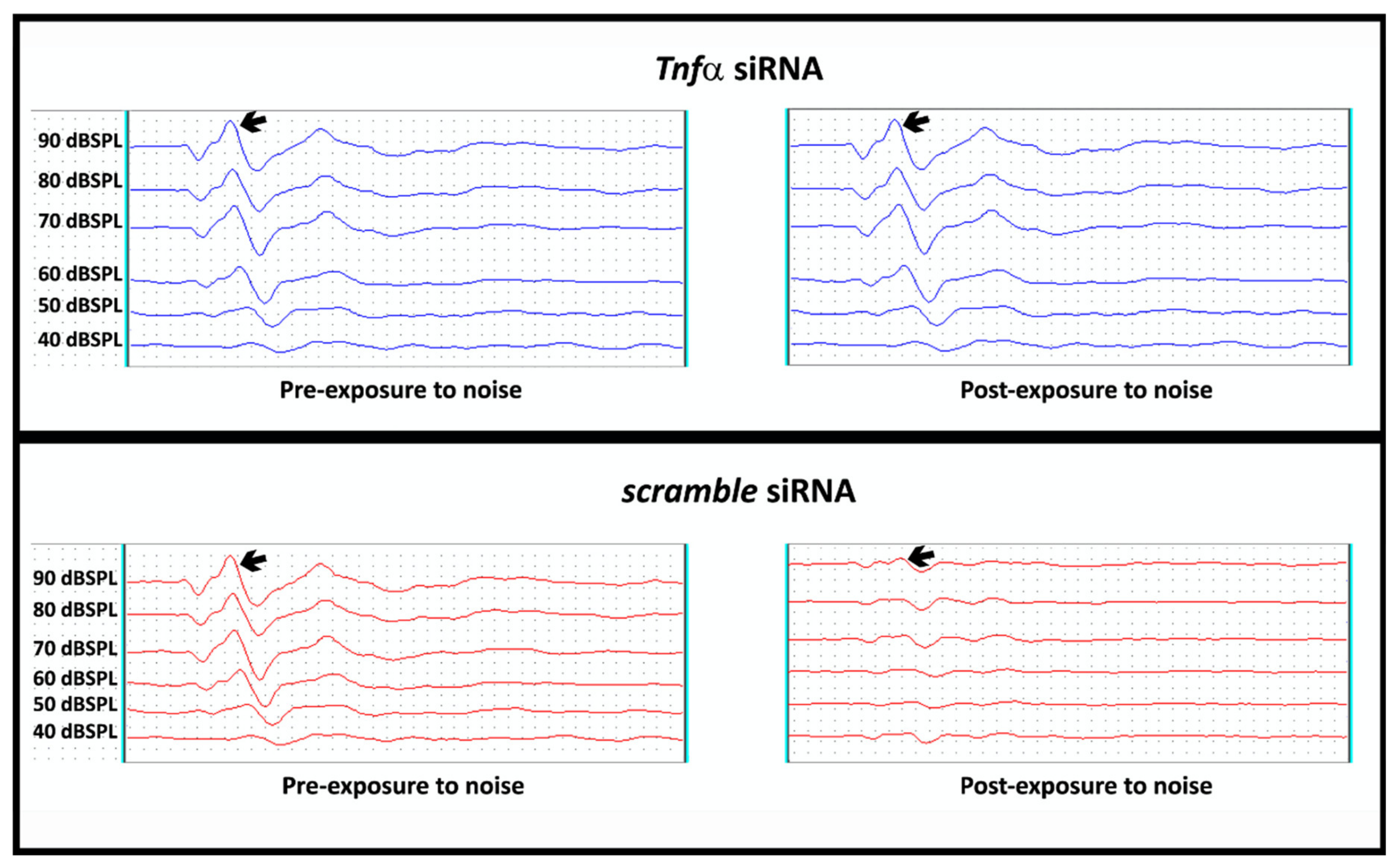 Ijms 21 02692 g004 Ijms 21 02692 g004