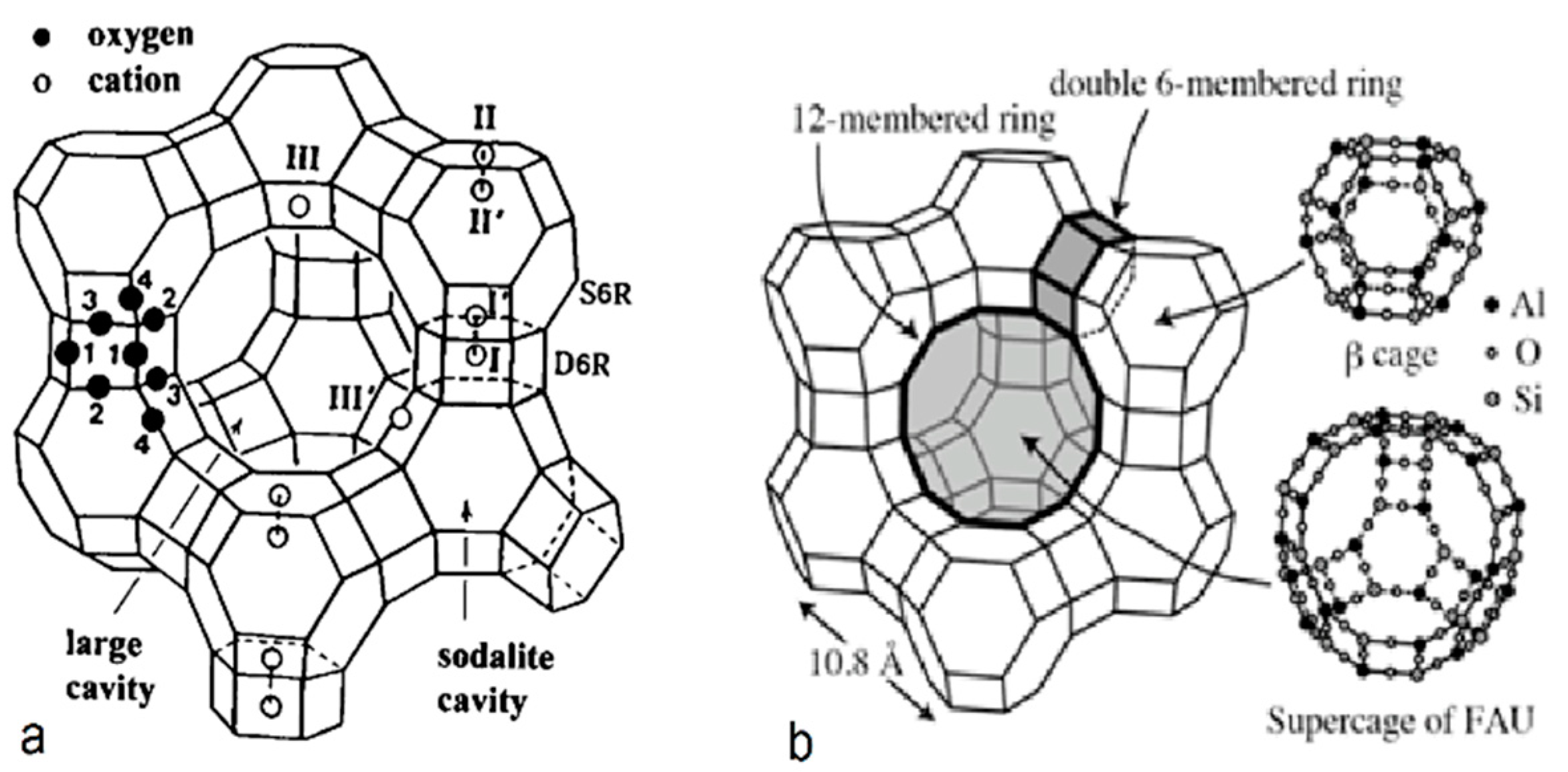Ijms 21 02707 g002 Ijms 21 02707 g002