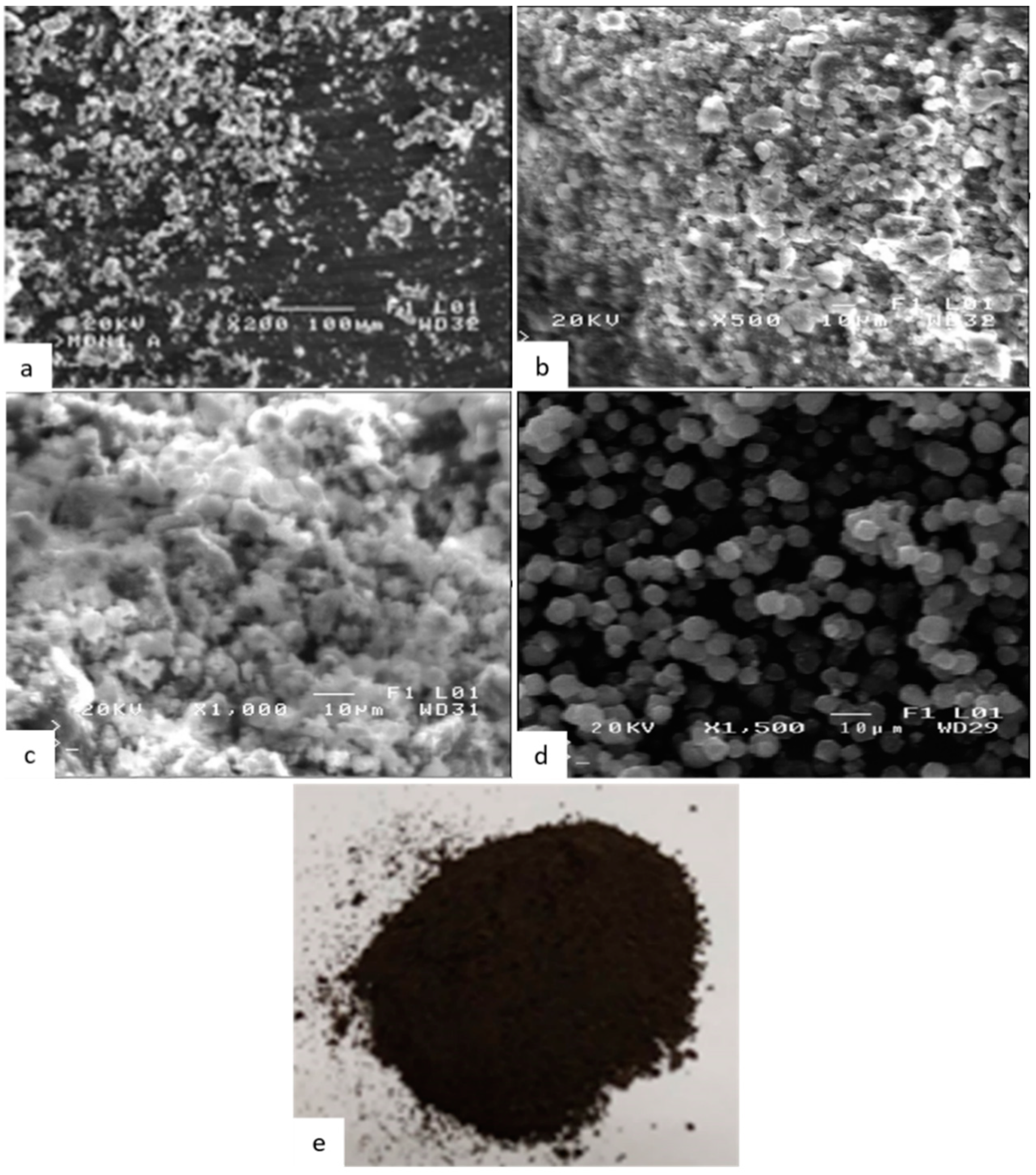 Ijms 21 02707 g004 Ijms 21 02707 g004