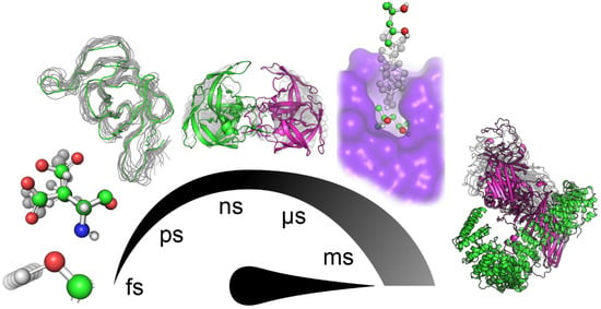 Hierarchy of time scales for protein motions. From left to right