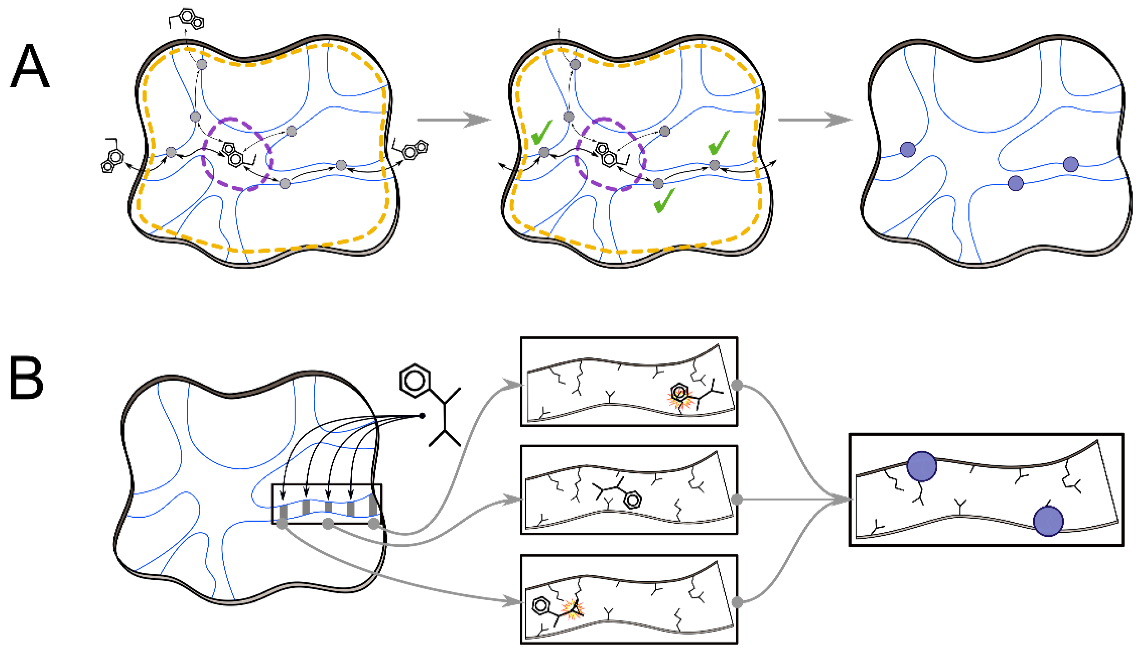 Ijms 21 02713 g003 Ijms 21 02713 g003