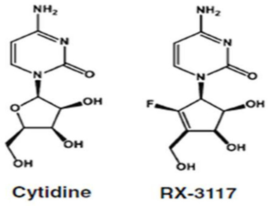 Ijms Free Full Text Rx 3117 Fluorocyclopentenyl Cytosine Mediated Down Regulation Of Dna Methyltransferase 1 Leads To Protein Expression Of Tumor Suppressor Genes And Increased Functionality Of The Proton Coupled Folate Carrier Html