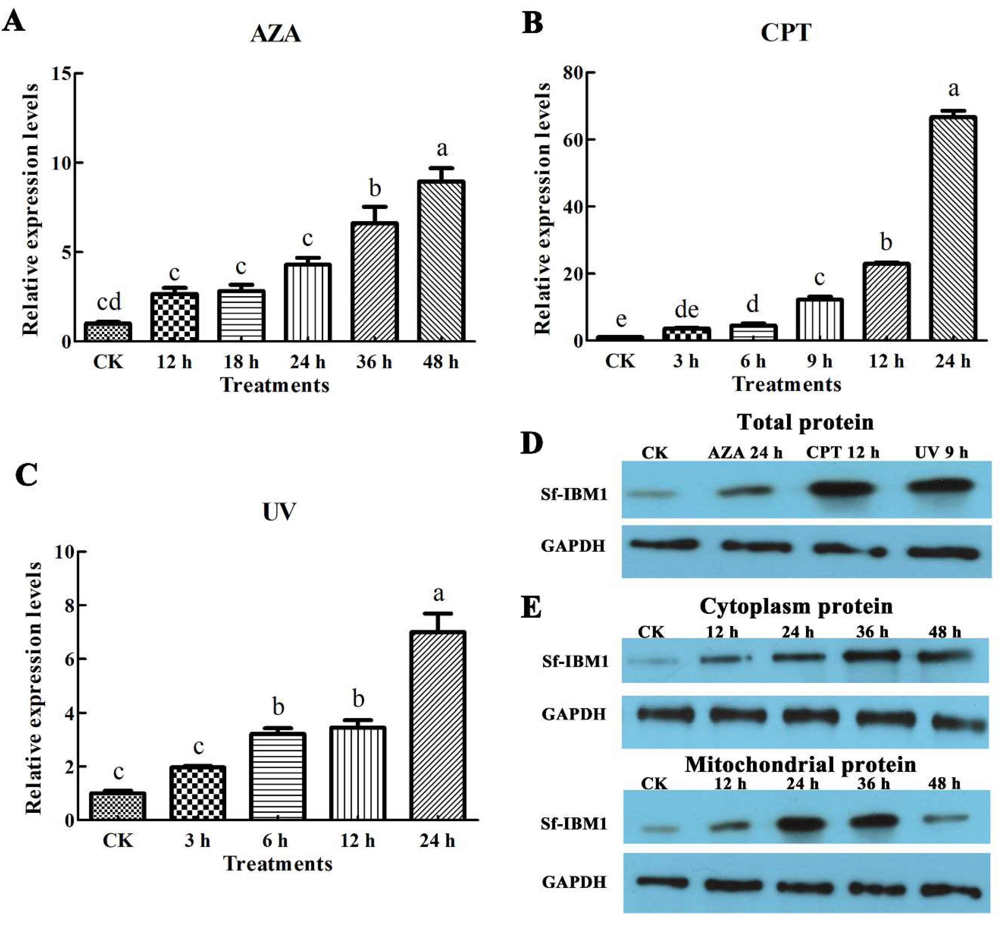 Ijms 21 02729 g003 Ijms 21 02729 g003