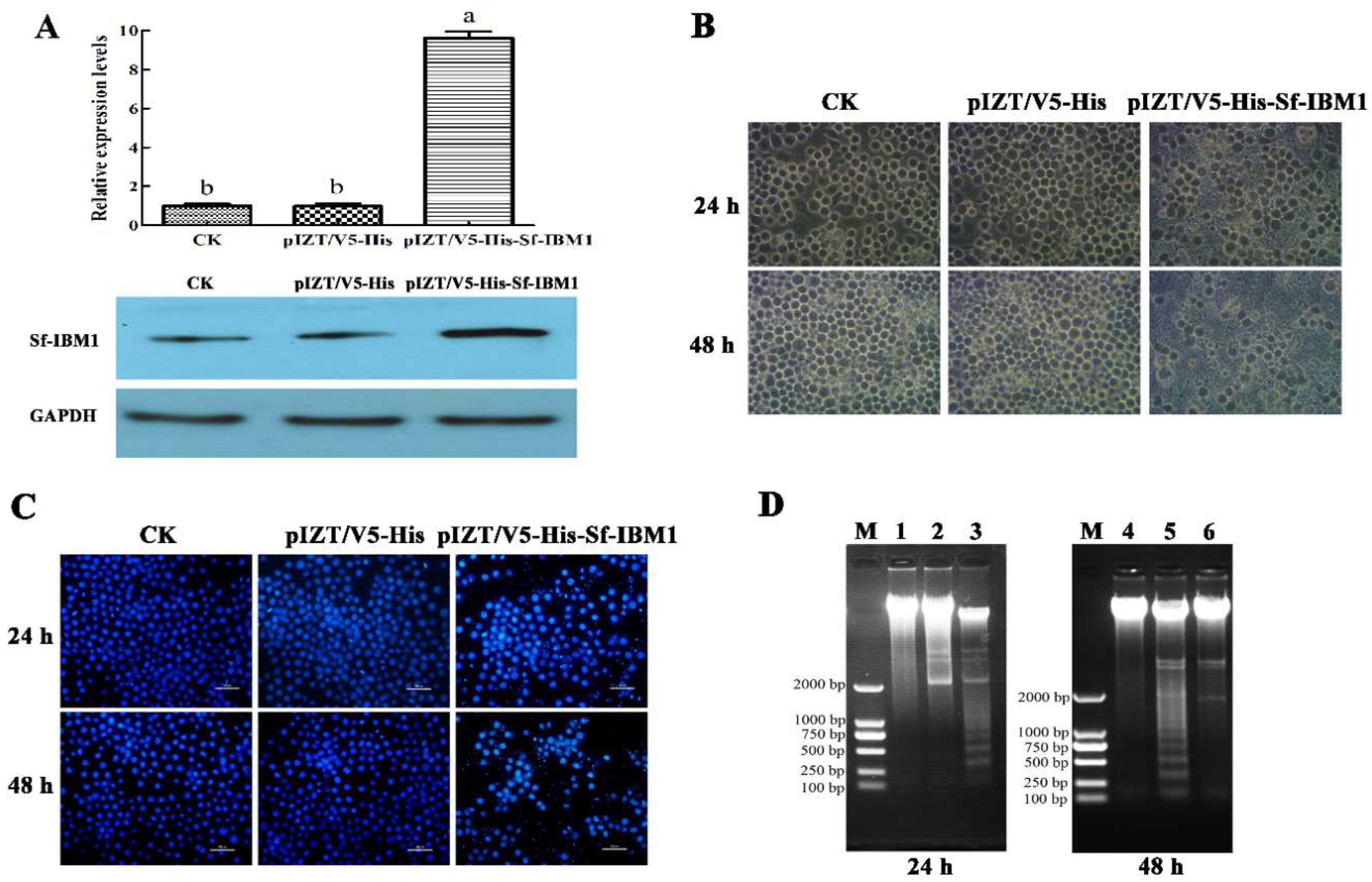 Ijms 21 02729 g004 Ijms 21 02729 g004