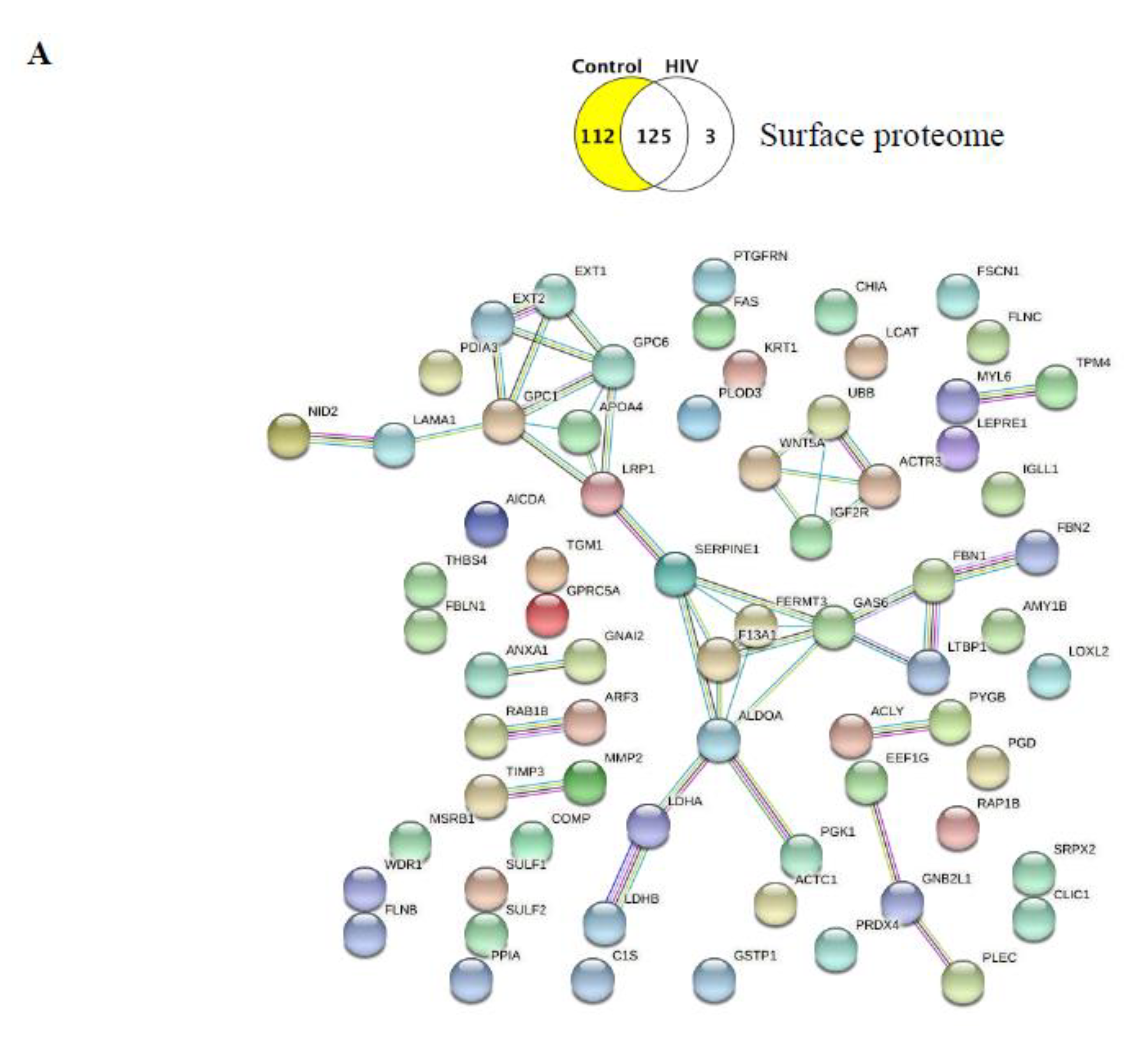 Ijms 21 02741 g003a Ijms 21 02741 g003a