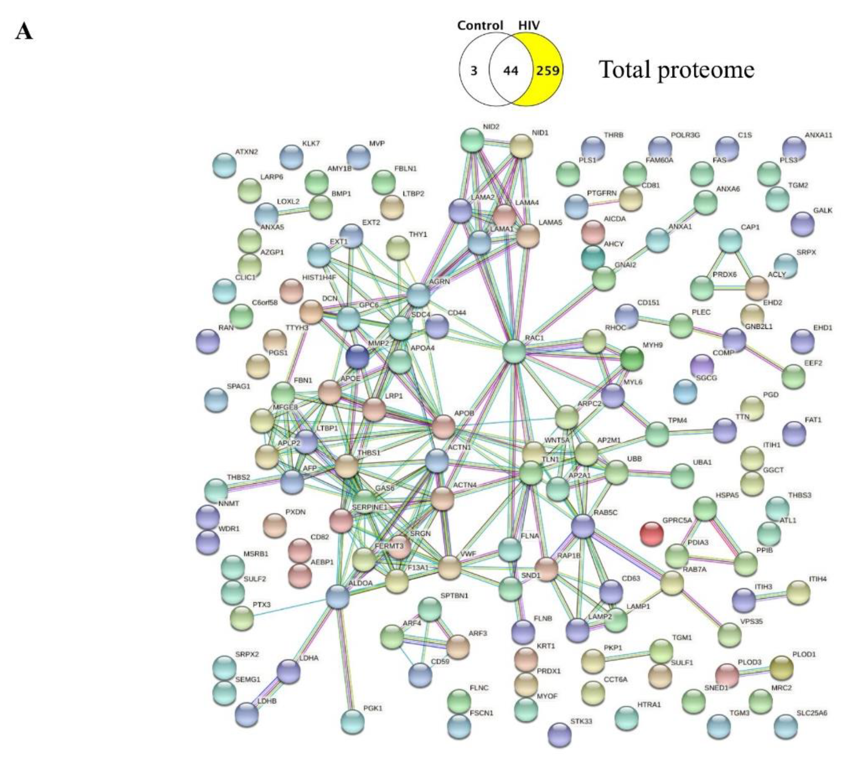 Ijms 21 02741 g004a Ijms 21 02741 g004a