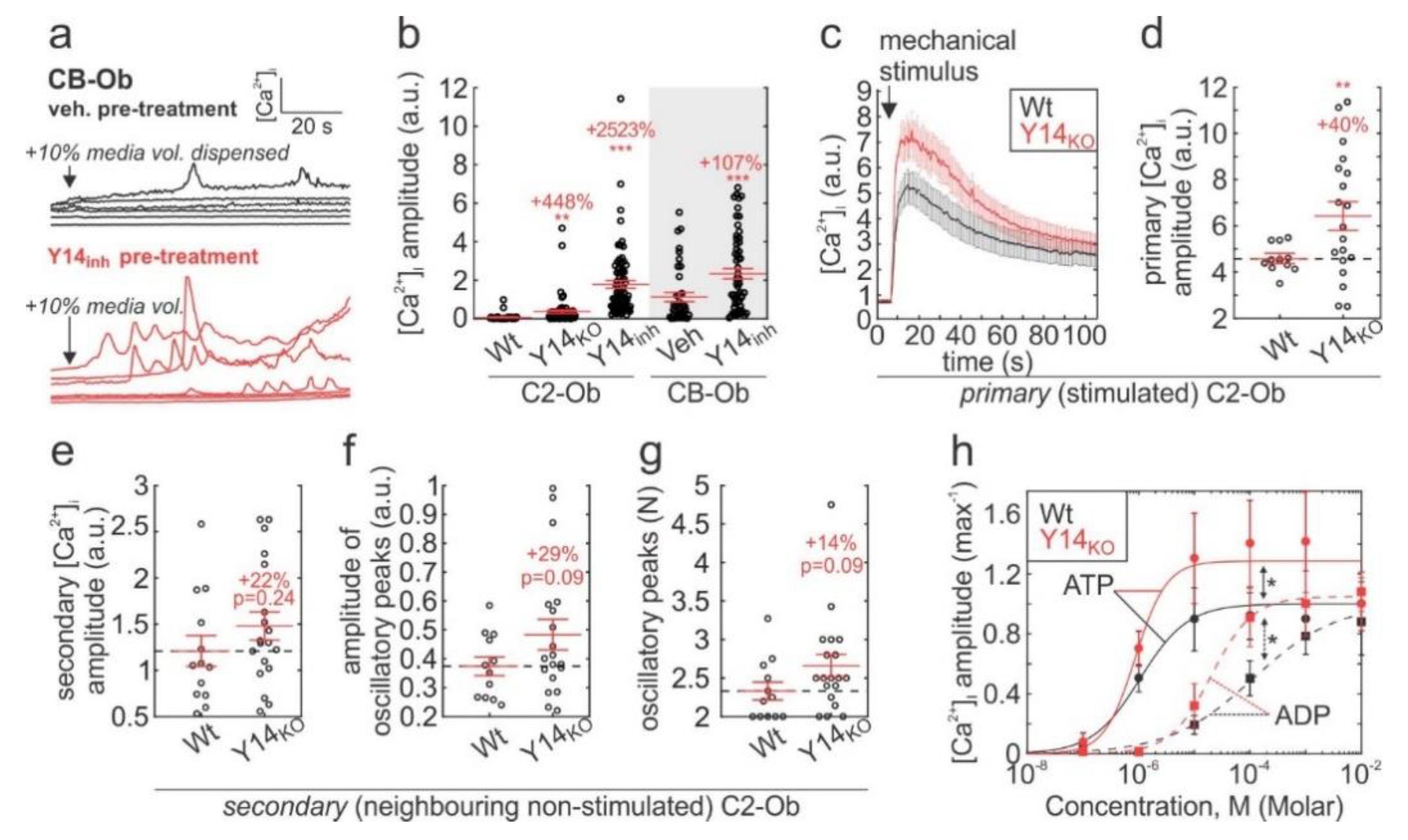 Ijms 21 02747 g003 Ijms 21 02747 g003
