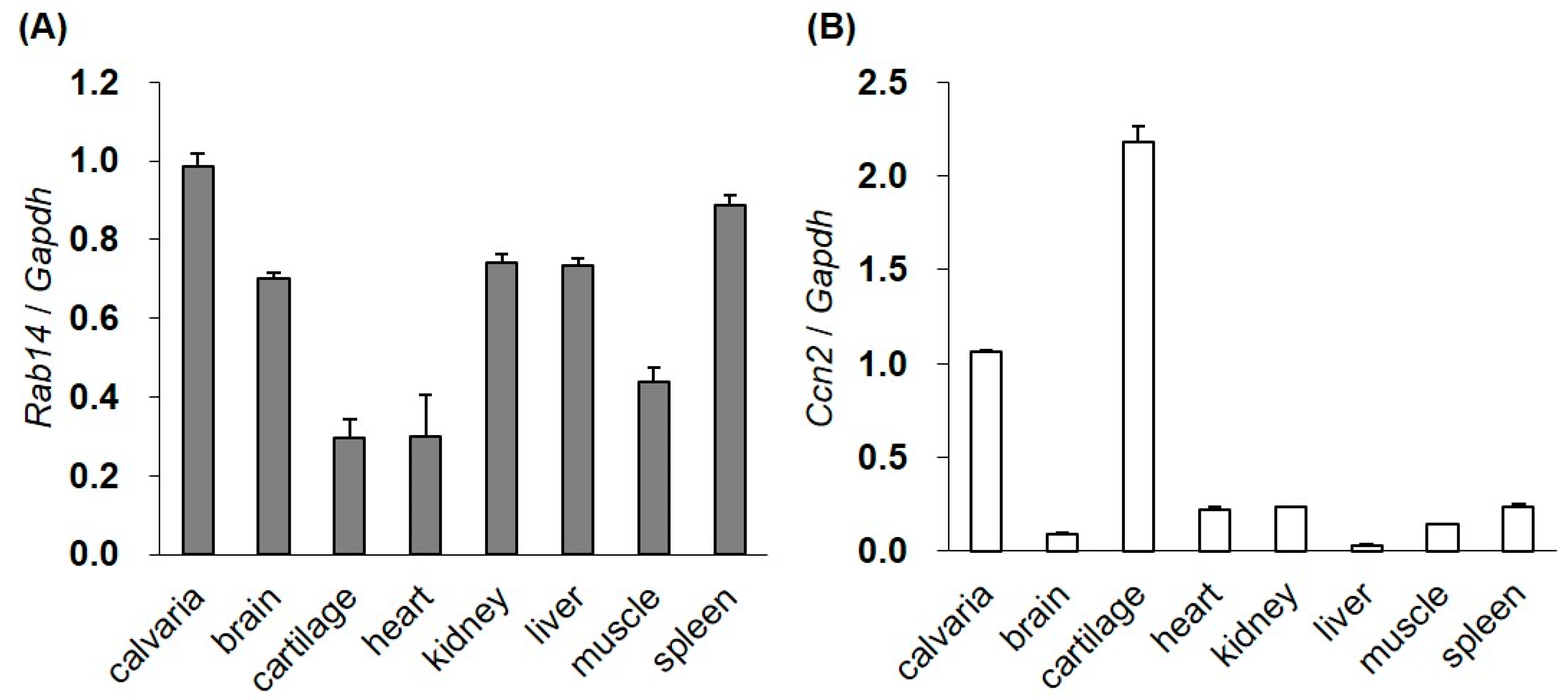 Ijms 21 02769 g001 Ijms 21 02769 g001
