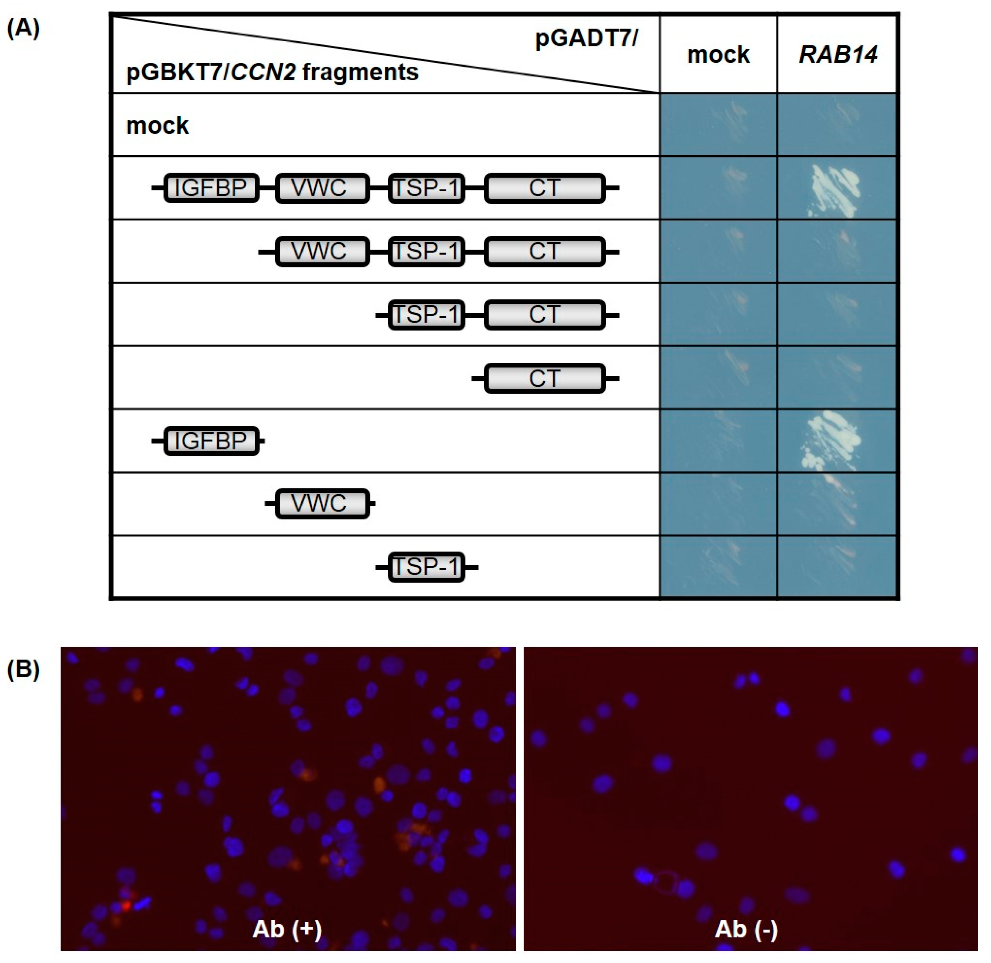 Ijms 21 02769 g002 Ijms 21 02769 g002
