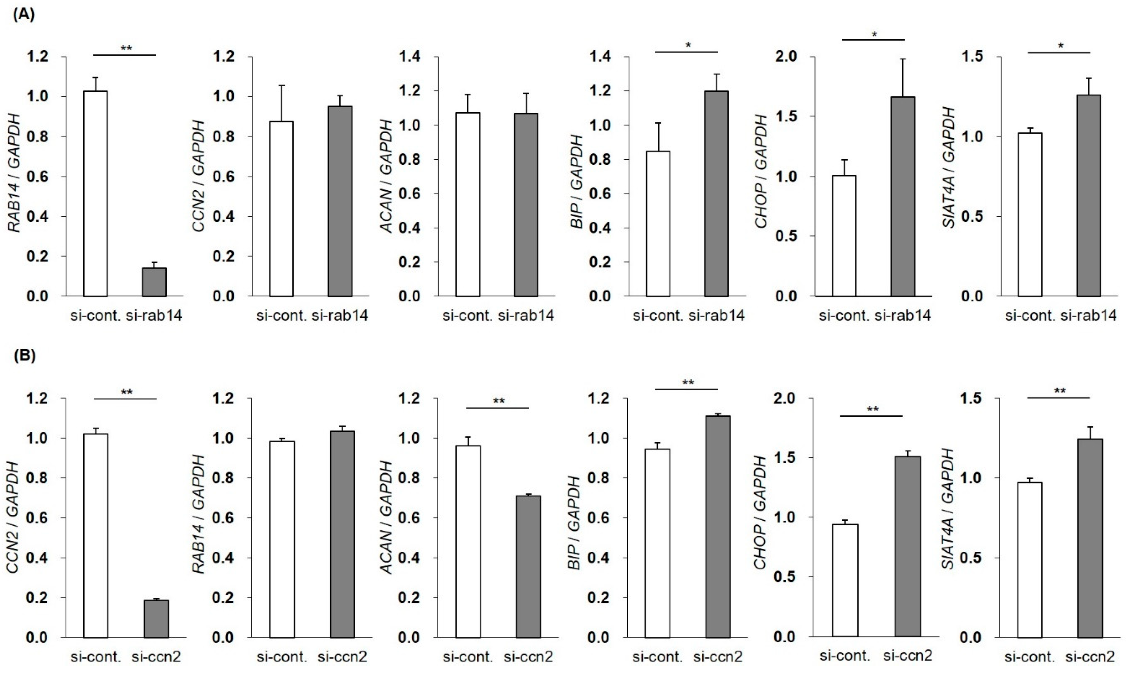 Ijms 21 02769 g004 Ijms 21 02769 g004