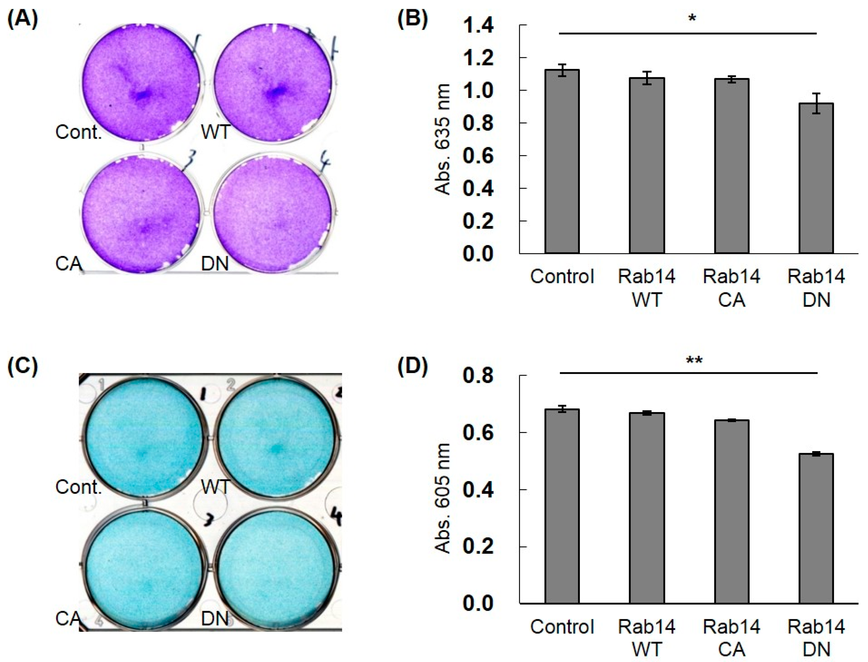 Ijms 21 02769 g005 Ijms 21 02769 g005
