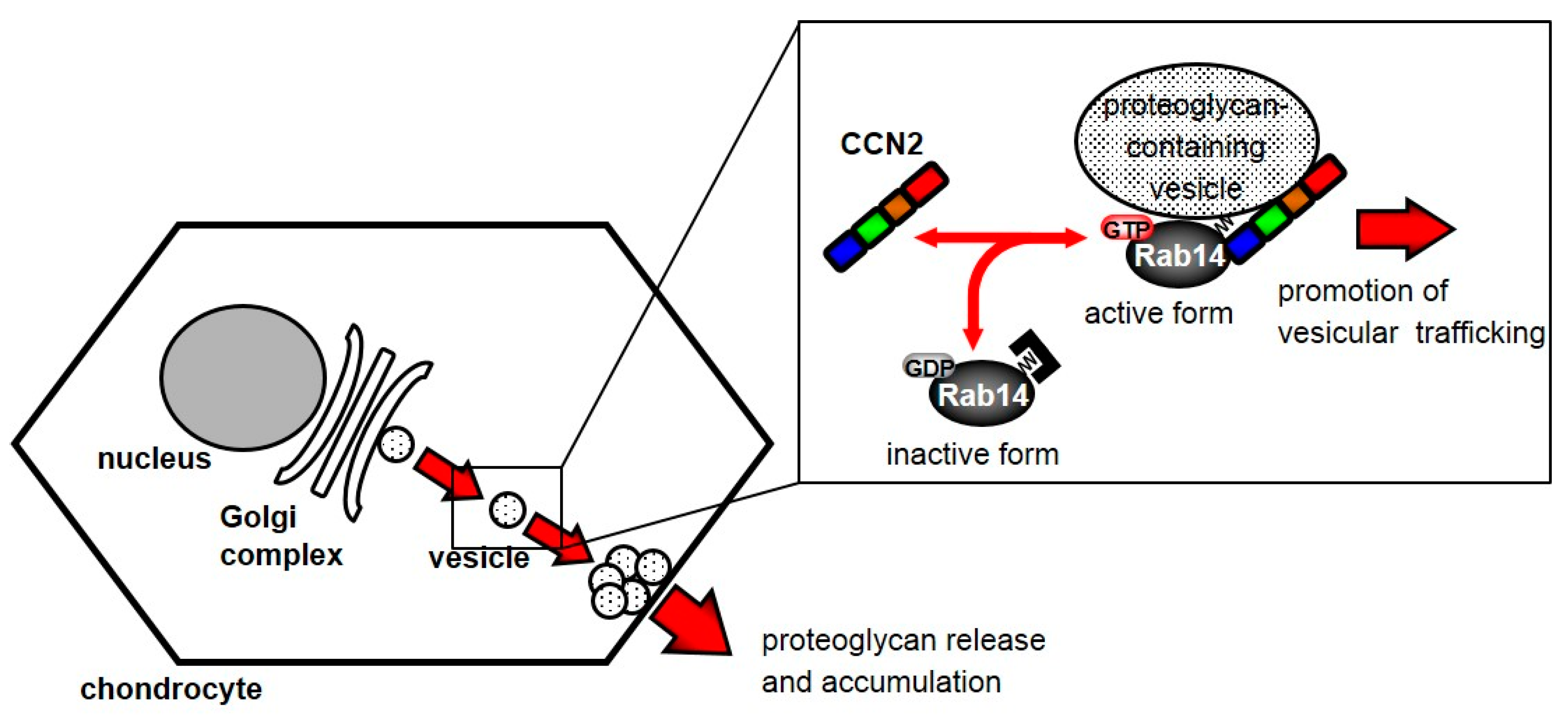Ijms 21 02769 g006 Ijms 21 02769 g006