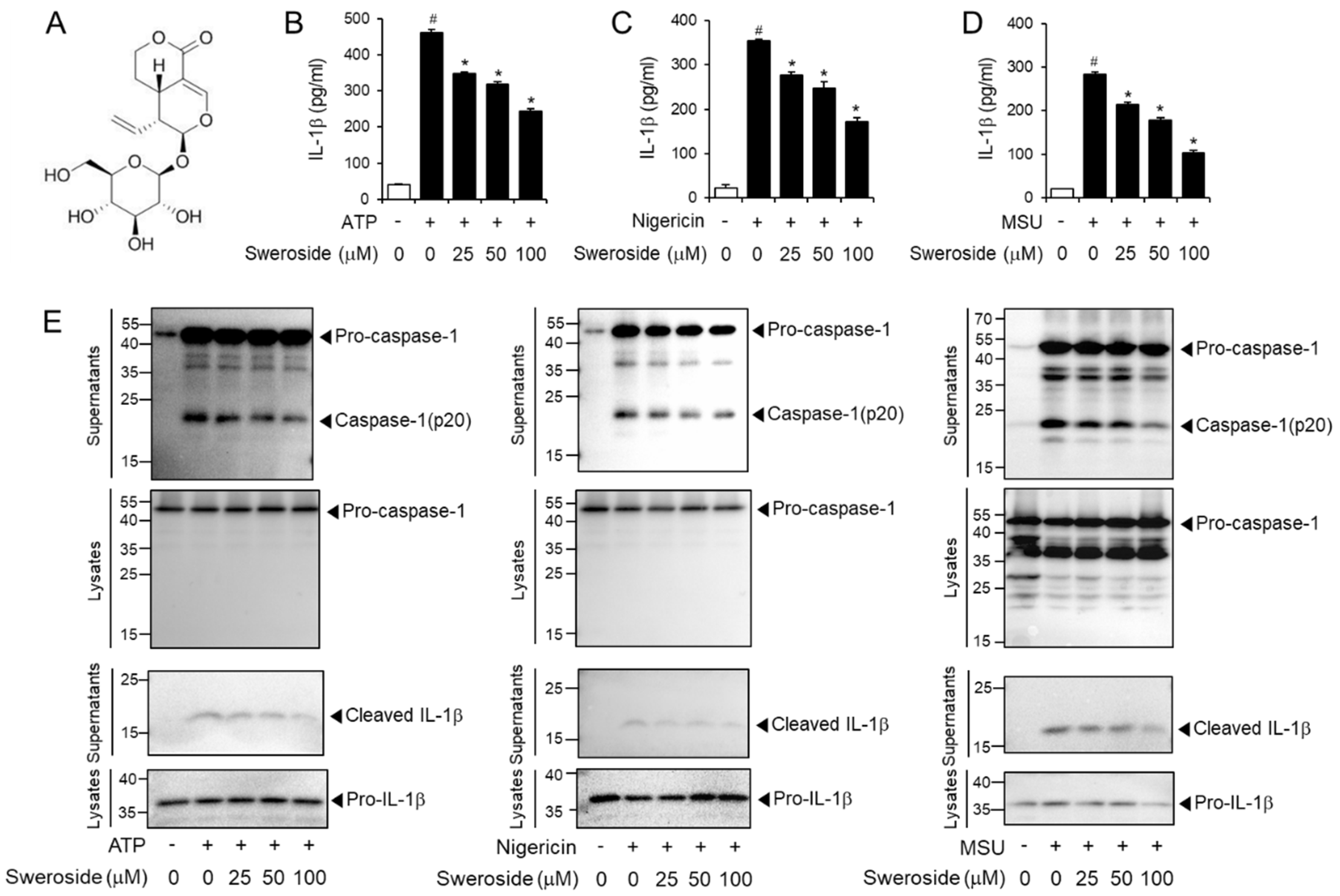Ijms 21 02790 g001 Ijms 21 02790 g001