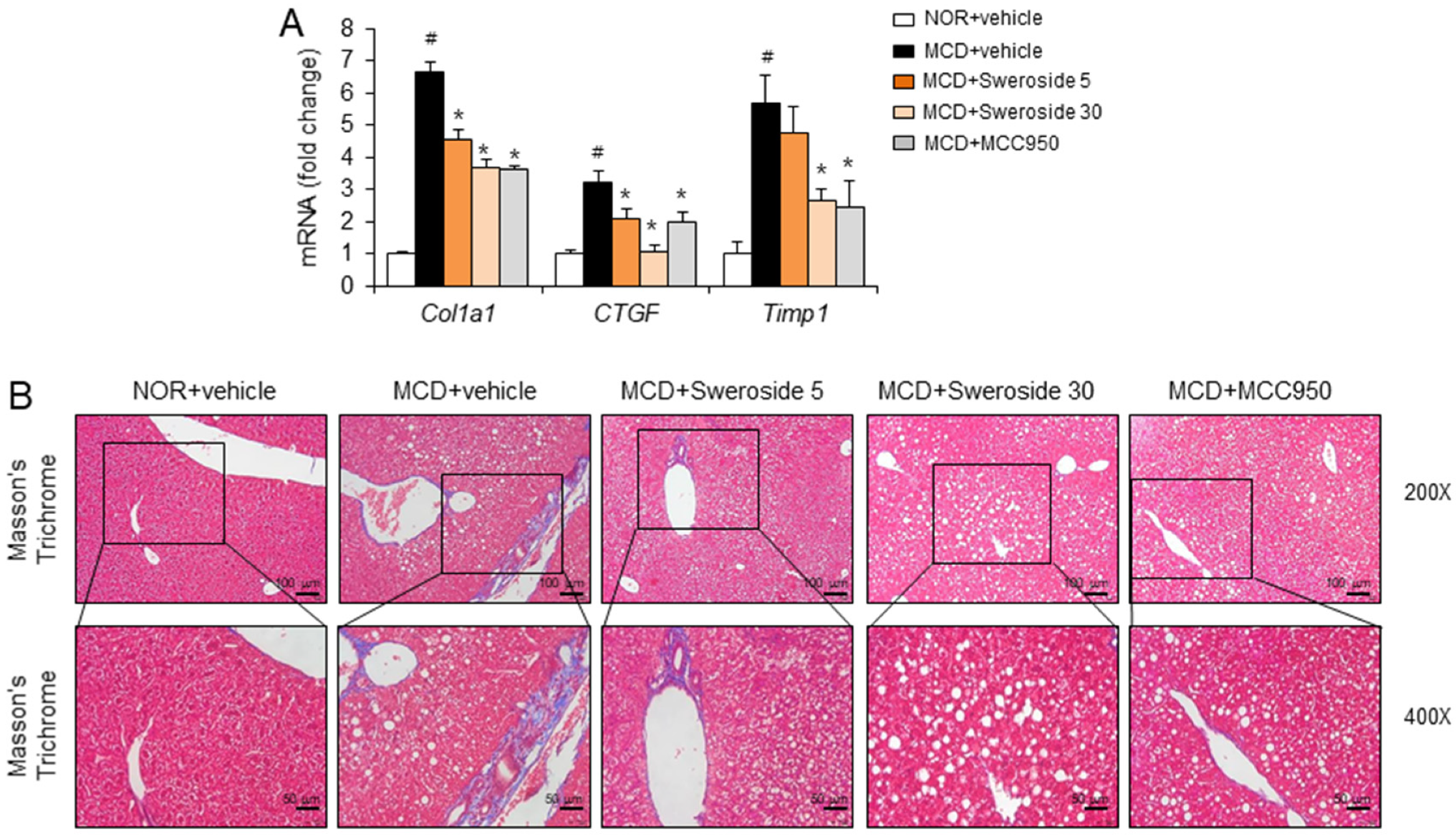 Ijms 21 02790 g005 Ijms 21 02790 g005