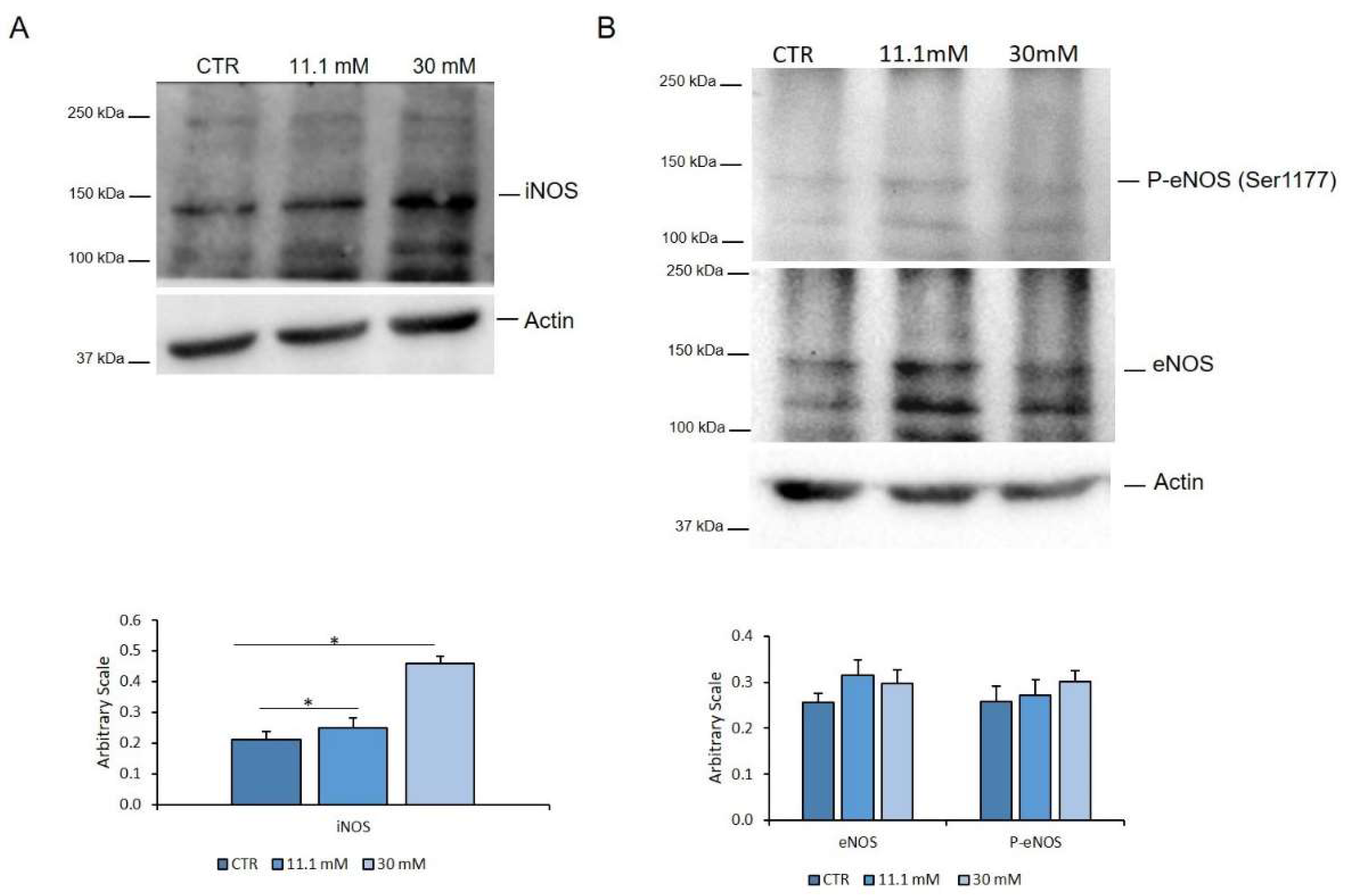 Ijms 21 02798 g004 Ijms 21 02798 g004